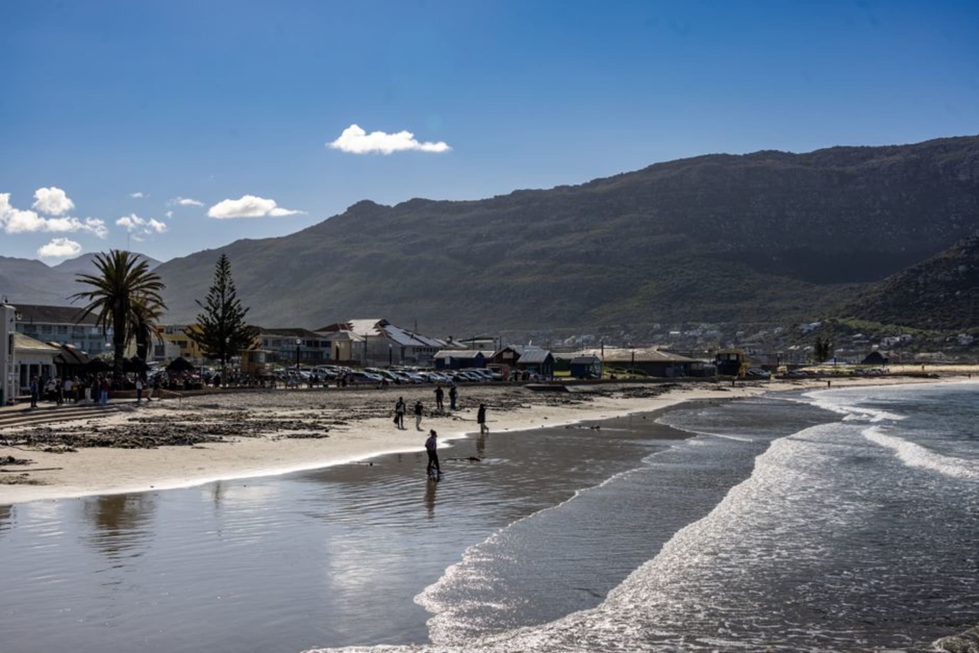 The long curved beach at Fish Hoek with False Bay's calm water and mountains behind