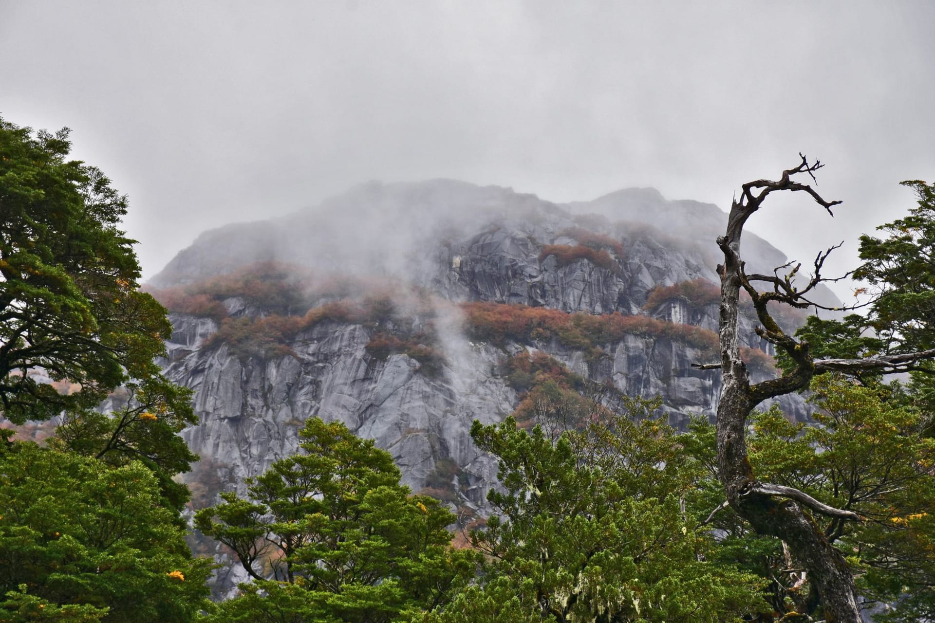 Ventisquero Colgante hanging glacier suspended between two dark rock faces, twin waterfalls falling into a glacial lake below