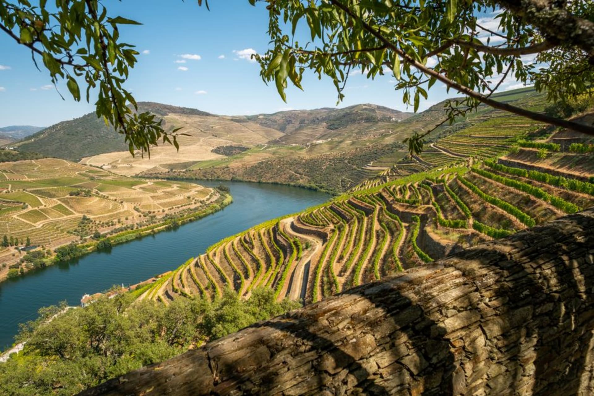 Terraced vineyards climbing steep slopes of dark llicorella slate in Priorat