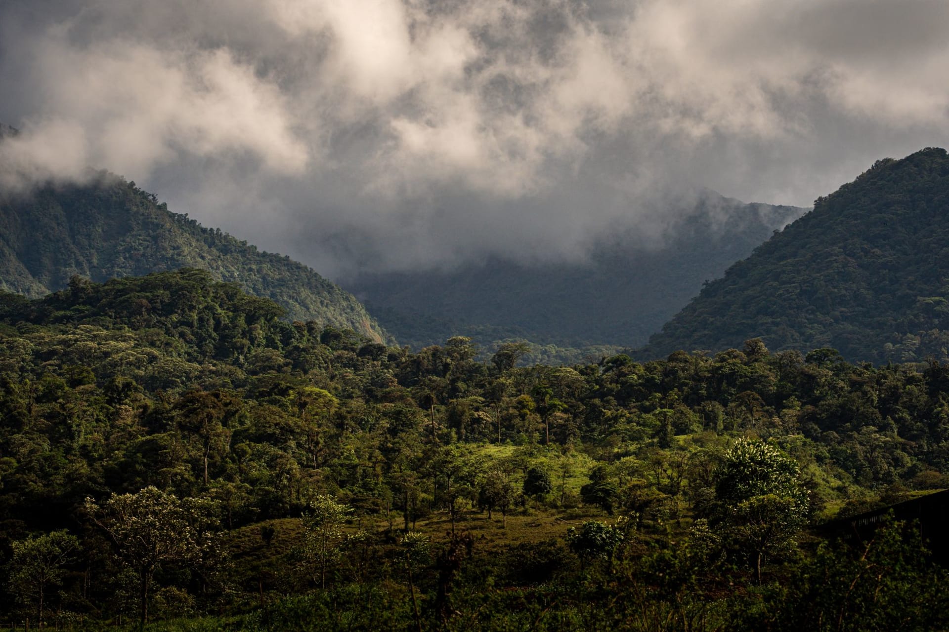Vast savanna-forest mosaic of Chinko Nature Reserve in eastern Central African Republic at golden hour, no human structure visible
