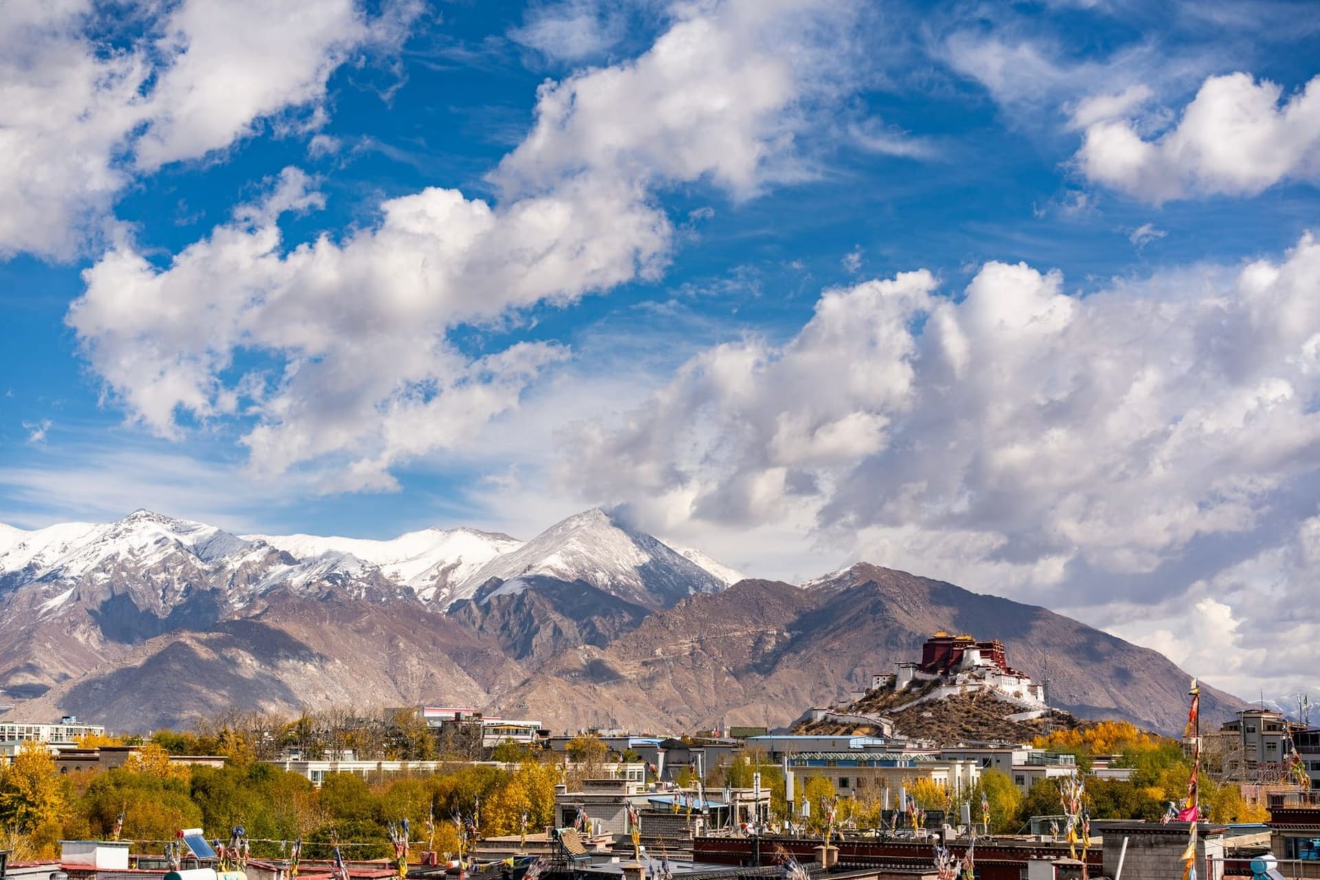 The white and crimson tiers of the Potala Palace rising against a cobalt sky, with pilgrims in dark robes prostrating on the stone plaza below and prayer flags strung across the foreground.