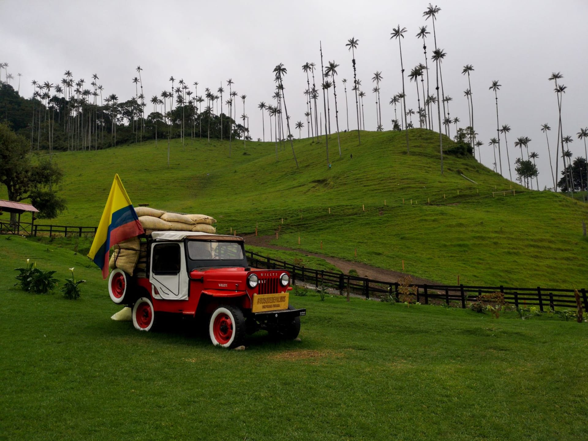 A vintage jeep with a Colombian flag parked on a dirt road in the lush green hills of Salento
