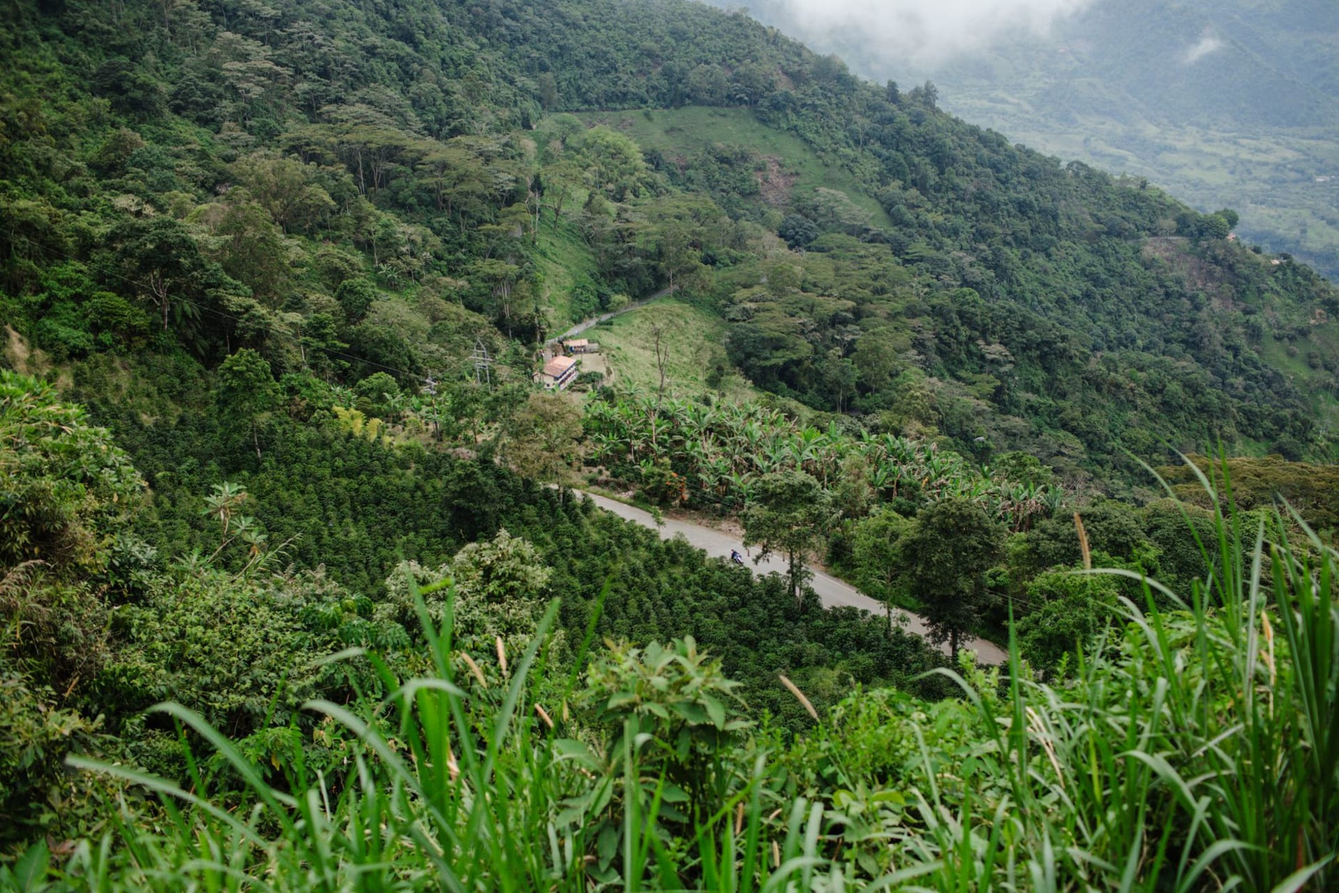 Manizales city viewed from above at dusk, lights beginning to appear across the steep hillside, mountains behind