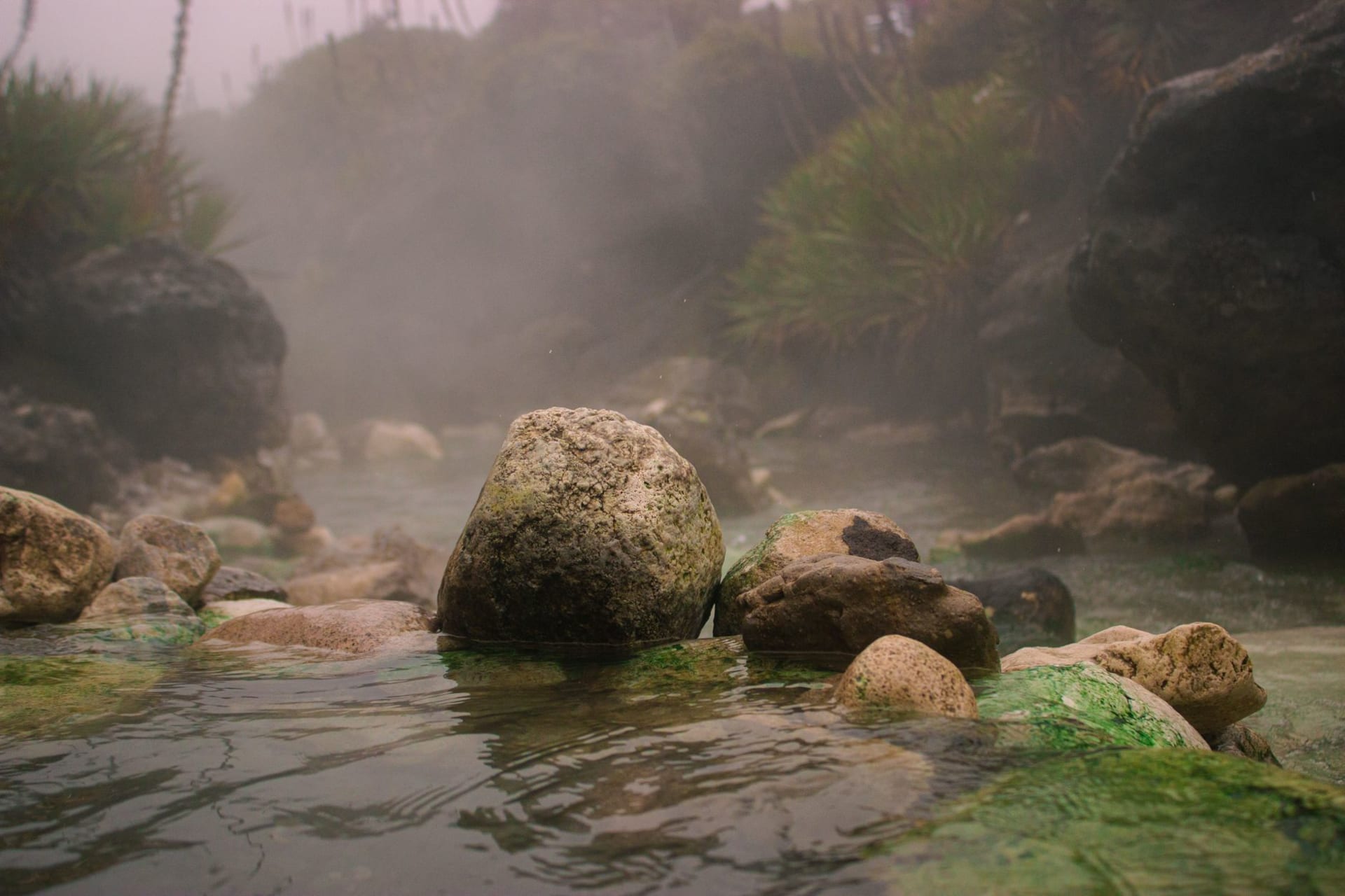 Clear river water flowing over rock carpeted in brilliant red aquatic plants between green banks at Caño Cristales
