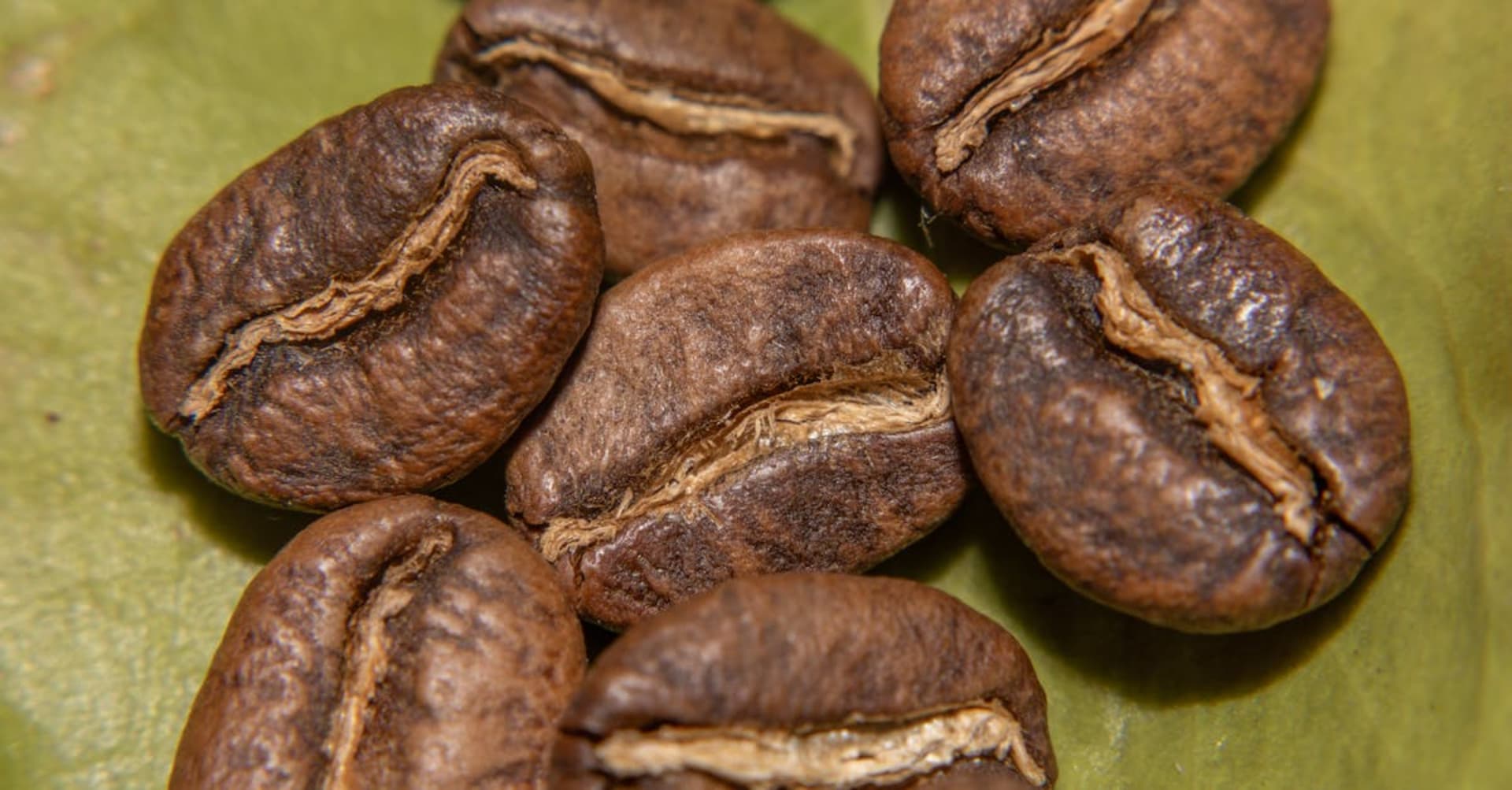 Lush green coffee plantations covering rolling hills in Colombia's Eje Cafetero