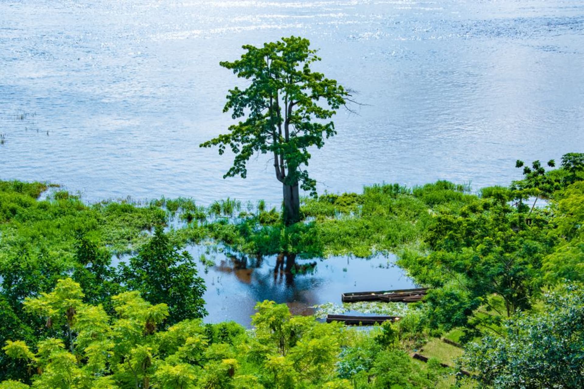El río Sangha en Ouesso con piraguas de madera amarradas a la orilla fangosa al atardecer