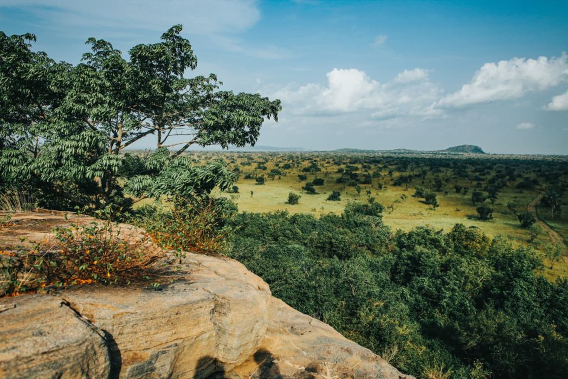 Golden savanna plateau with scattered gallery forest under a wide sky in Plateaux Batéké National Park
