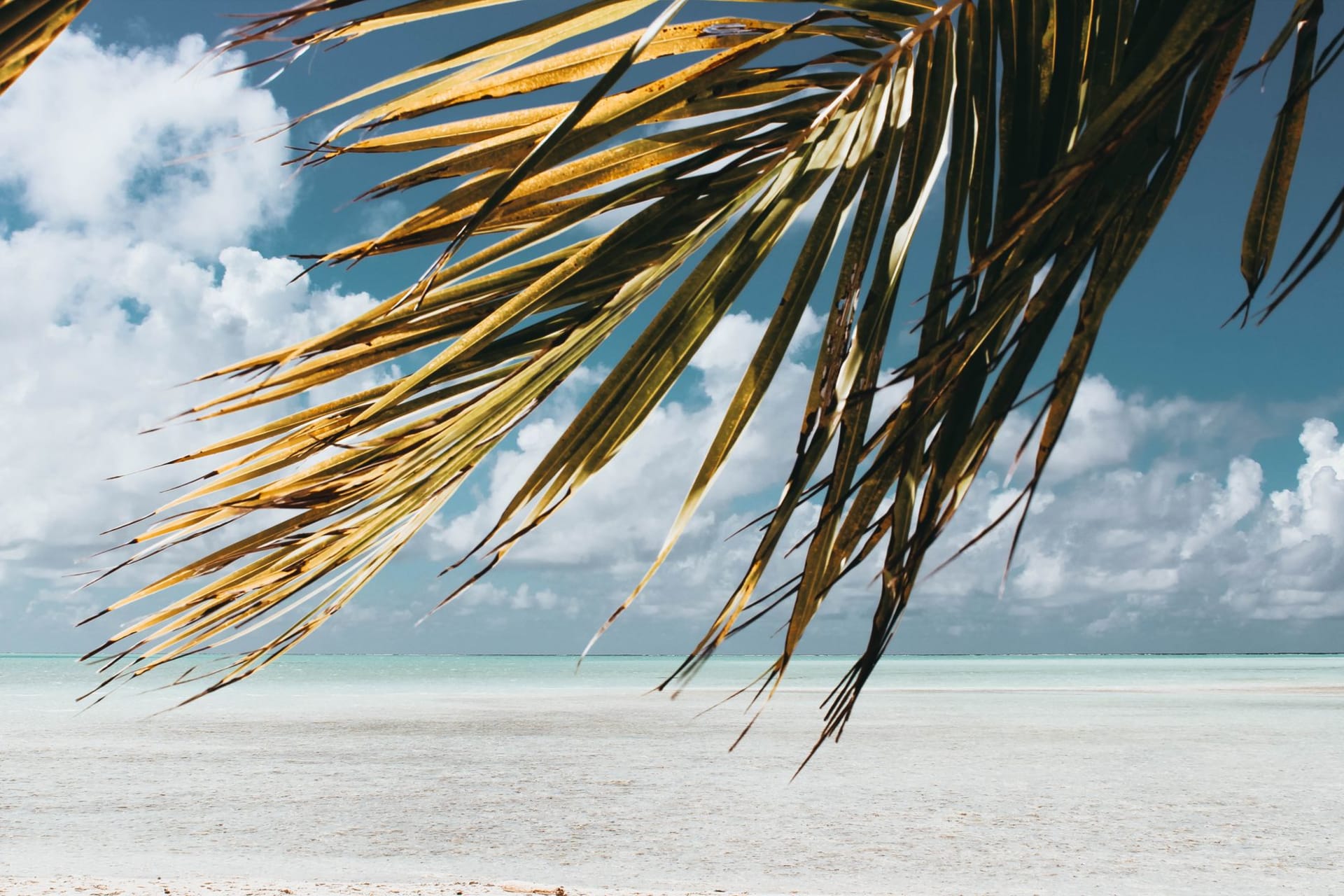 Muri Beach on Rarotonga's east coast with four small motus visible in the calm turquoise lagoon