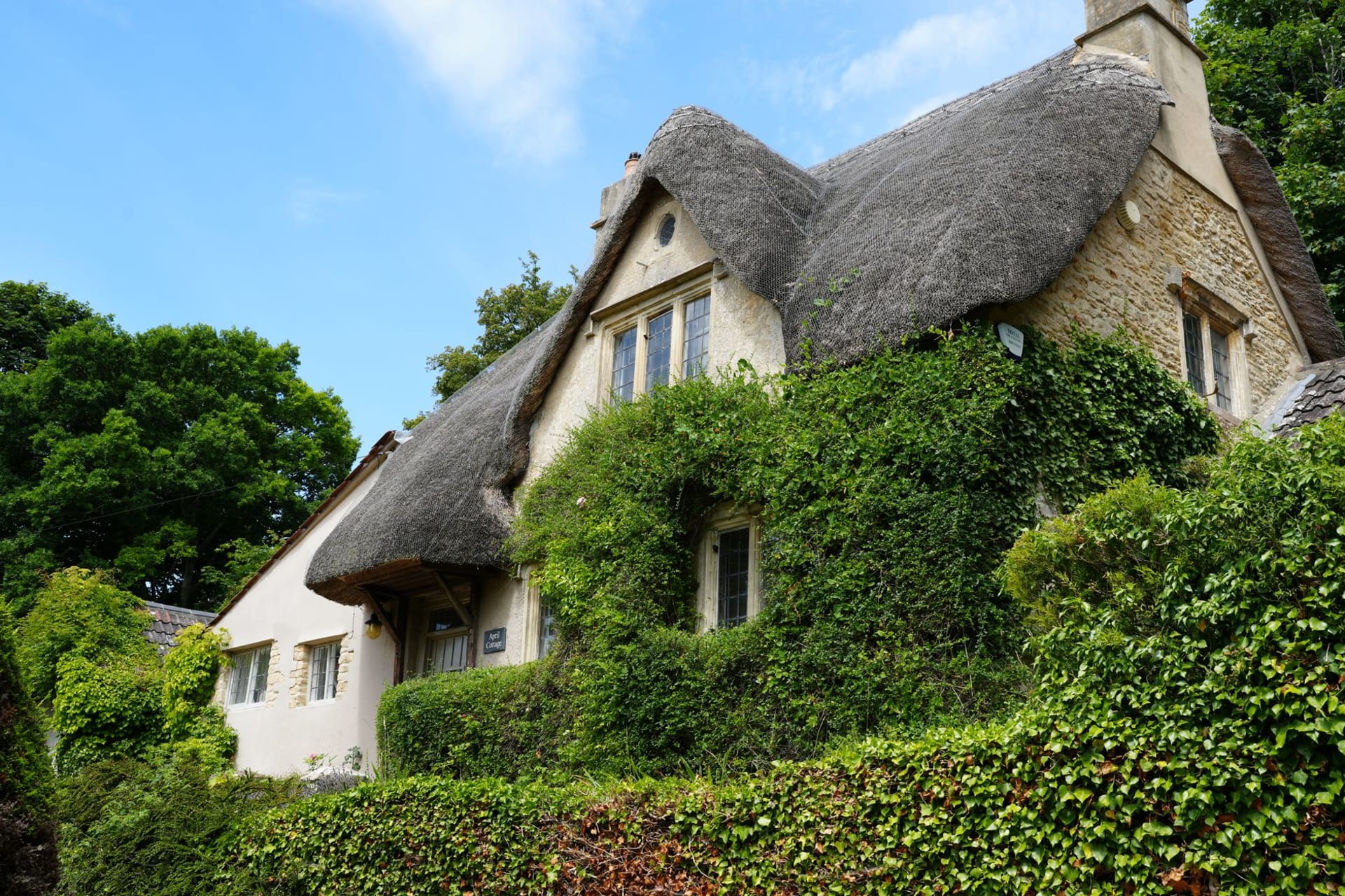 A thatched stone cottage wrapped in climbing roses and dense green hedgerow in the English countryside