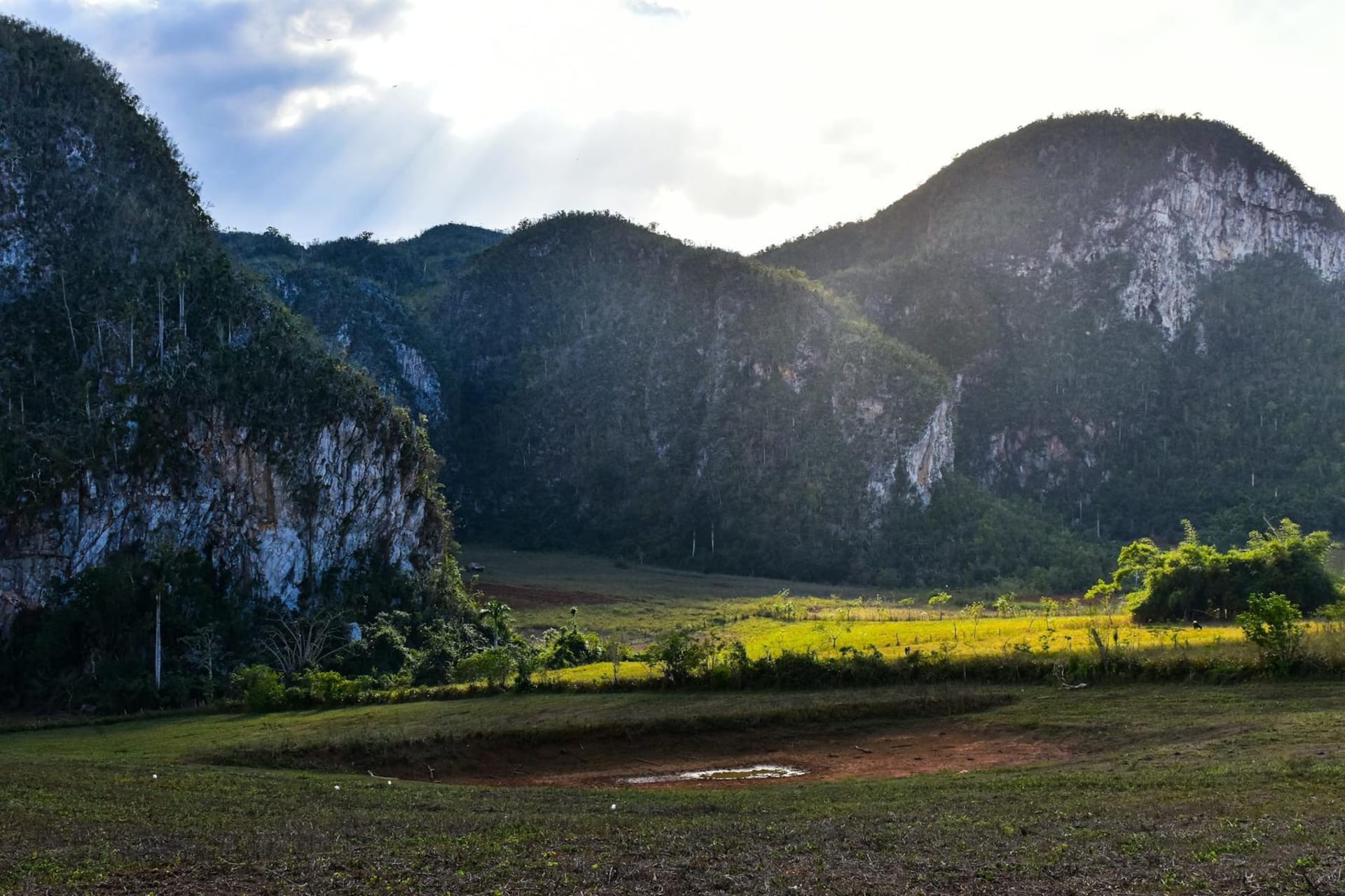 Panoramic view of Vinales Valley with dramatic limestone mogotes rising above green tobacco fields, a farmer guiding an ox-drawn plow along a red dirt path in the foreground under a hazy Cuban sky.