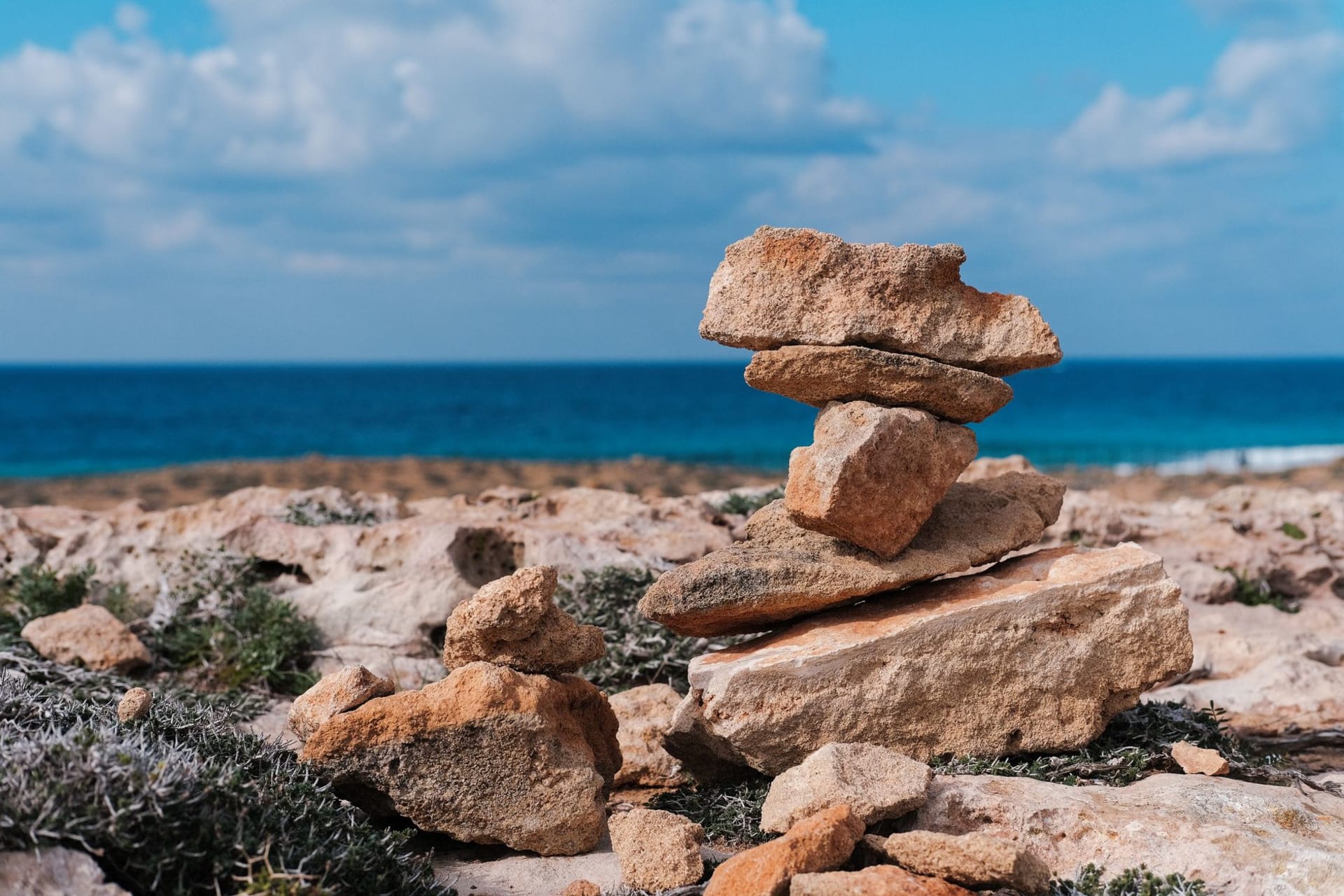 Wild donkeys on a deserted beach on the Karpaz Peninsula, northern Cyprus, turquoise sea and scrubby headland under a clear blue sky