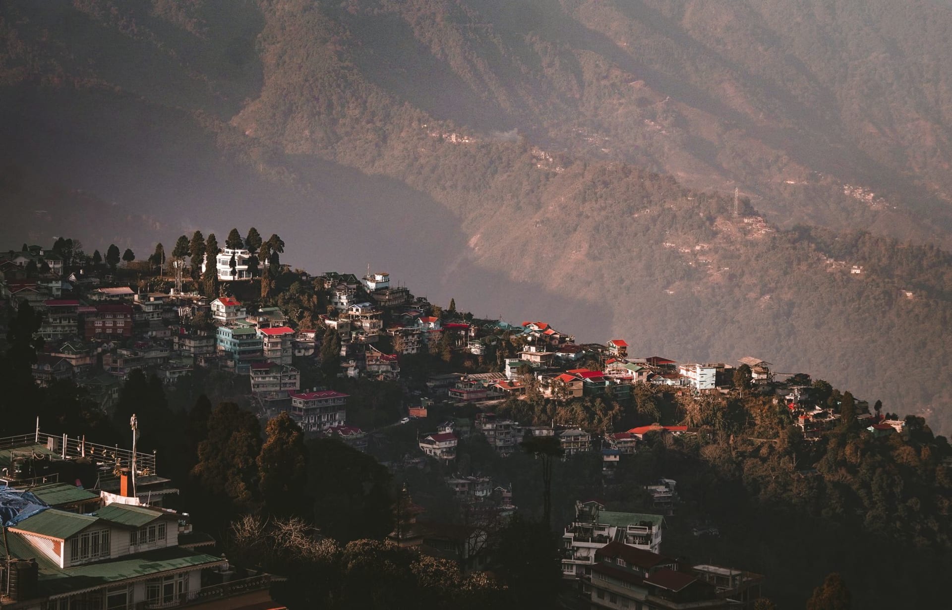 Jungpana's terraced tea rows descending a steep mist-filled valley, morning light catching the upper rows