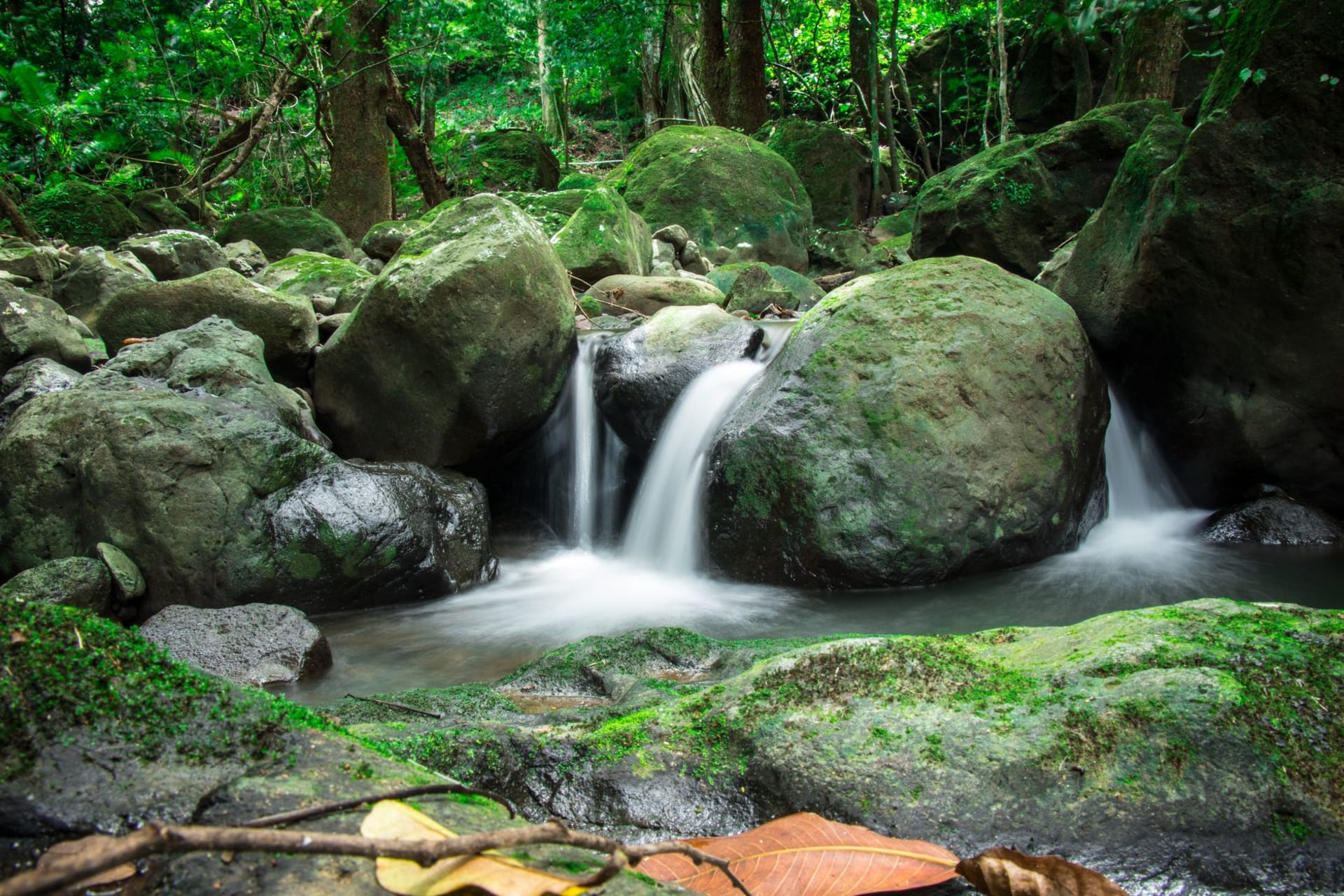 Waterfall cascading over mossy volcanic rocks surrounded by dense green rainforest in Dominica