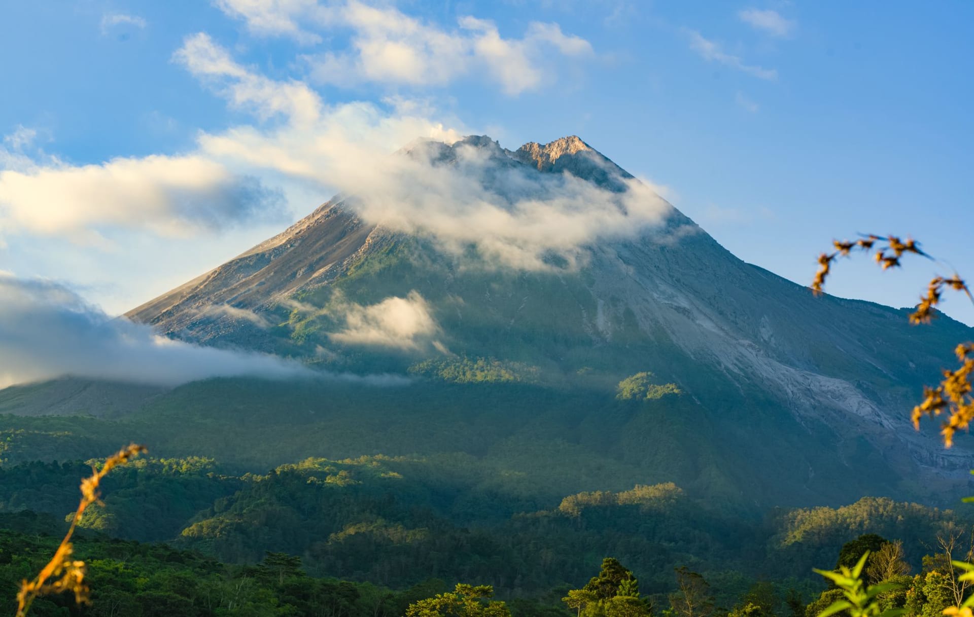 Dense rainforest canopy of Morne Trois Pitons with volcanic peaks emerging through cloud in early morning light