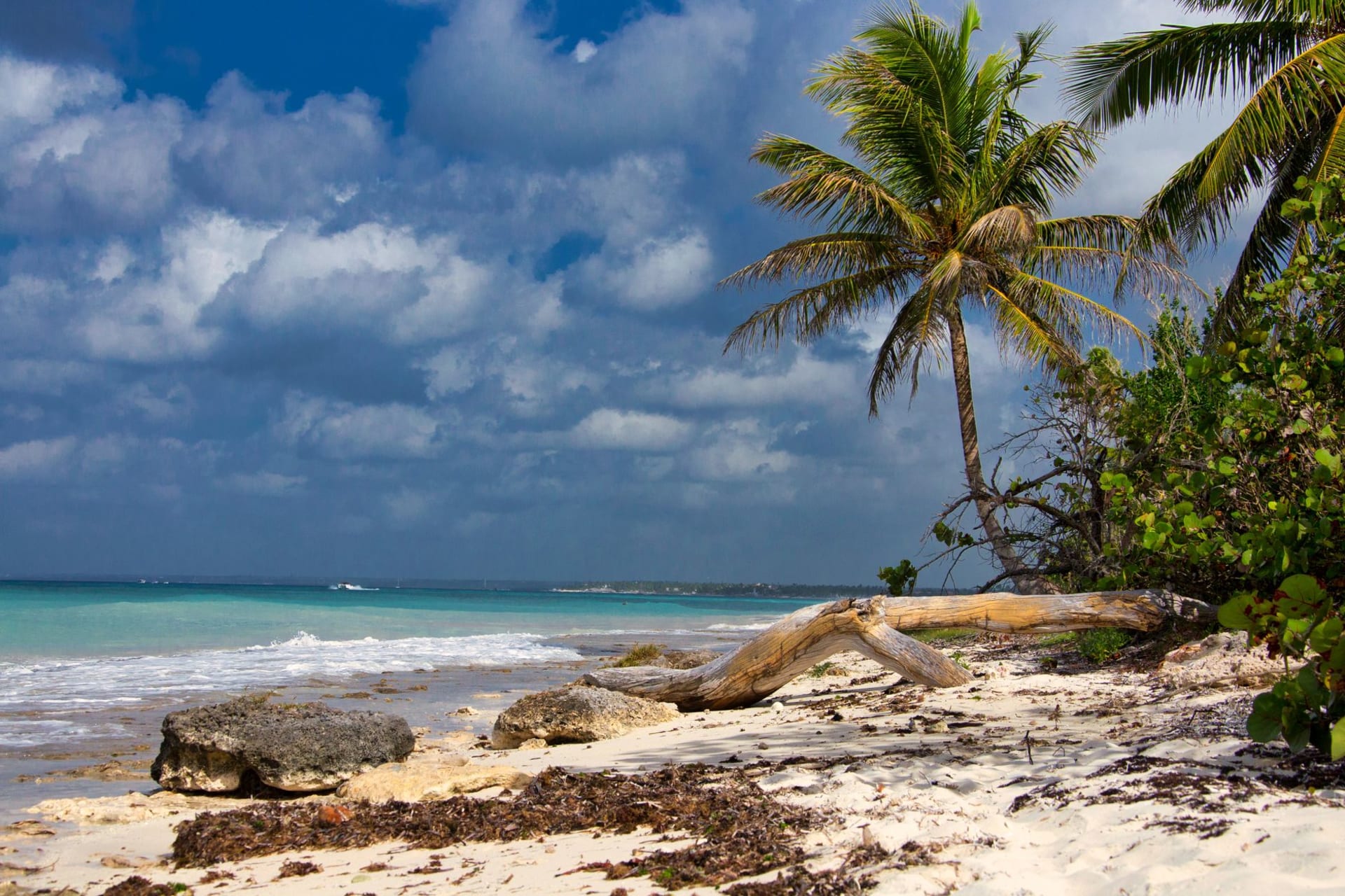 The empty white-sand crescent of Bahia de las Aguilas curving along turquoise water inside Jaragua National Park