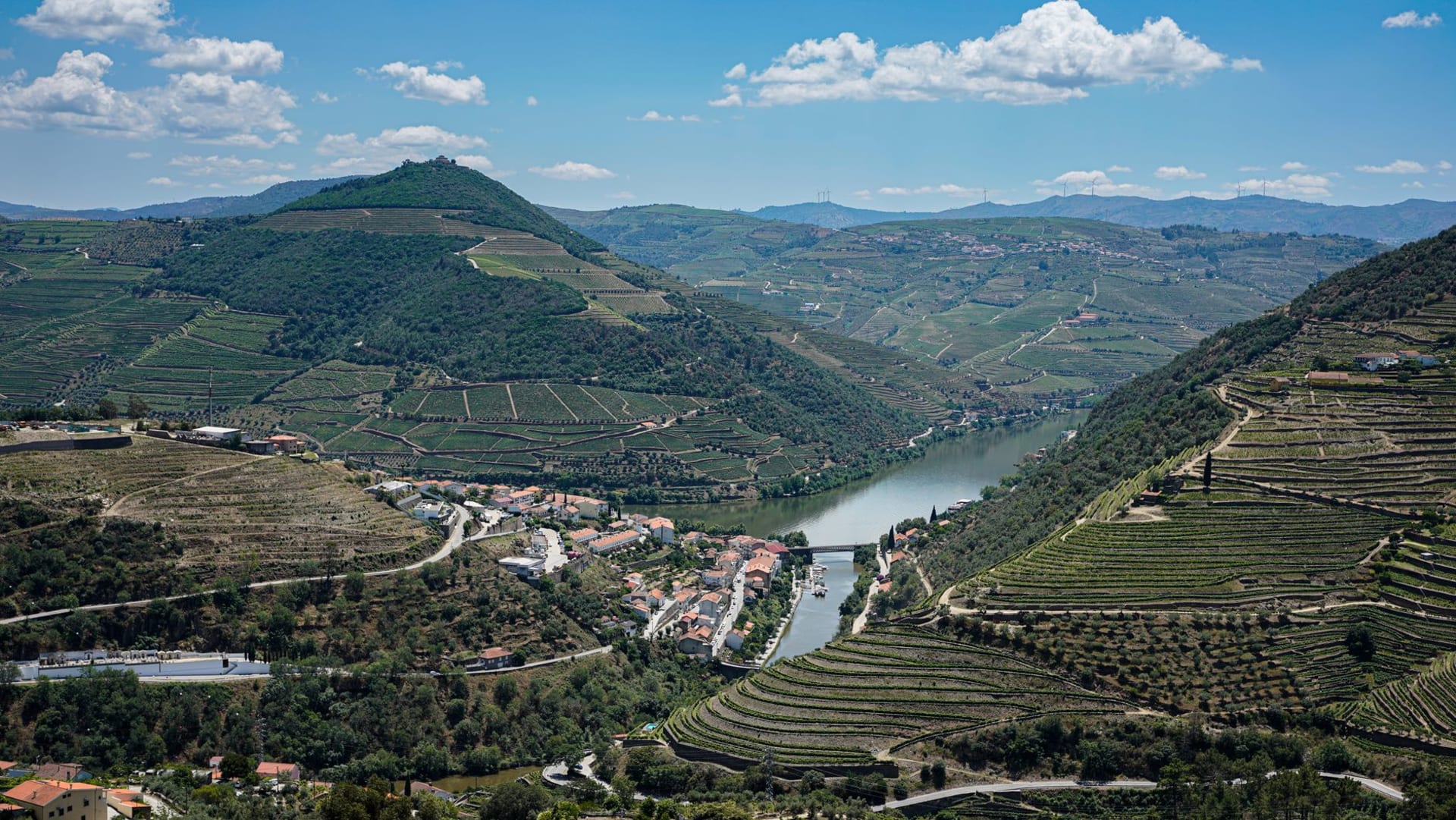 Aerial view of terraced vineyard hillsides descending to the Douro River in Portugal's wine region
