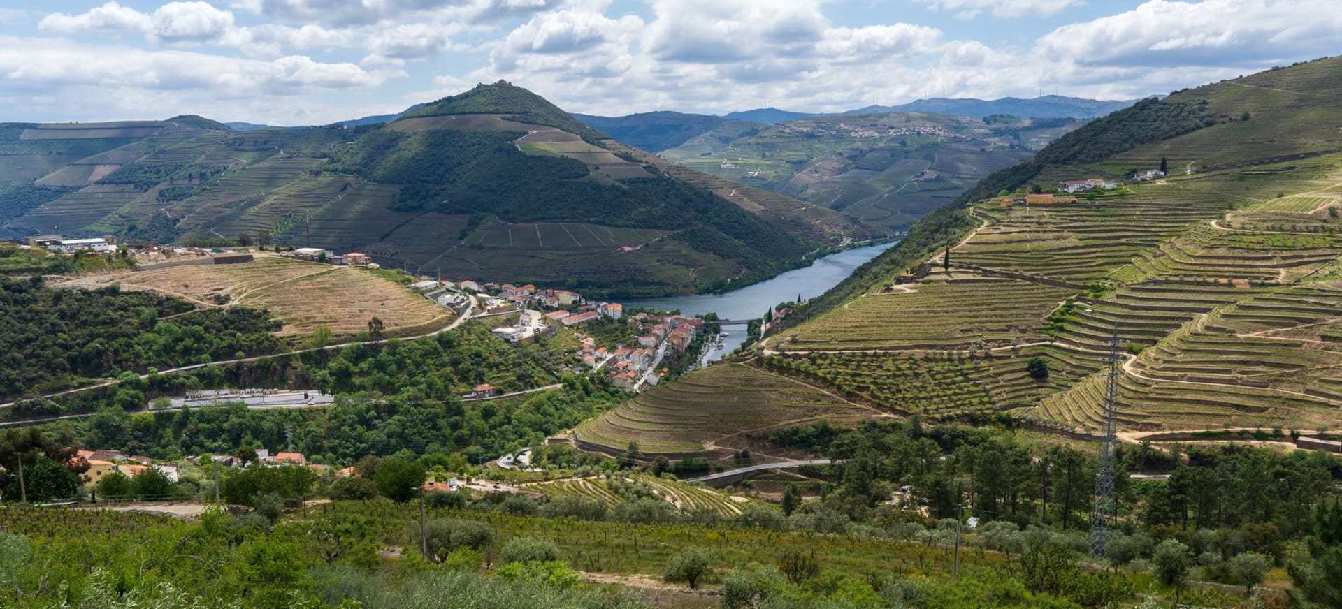 Panoramic view from São João da Pesqueira over the Douro gorge with terraced vineyards descending to the river far below