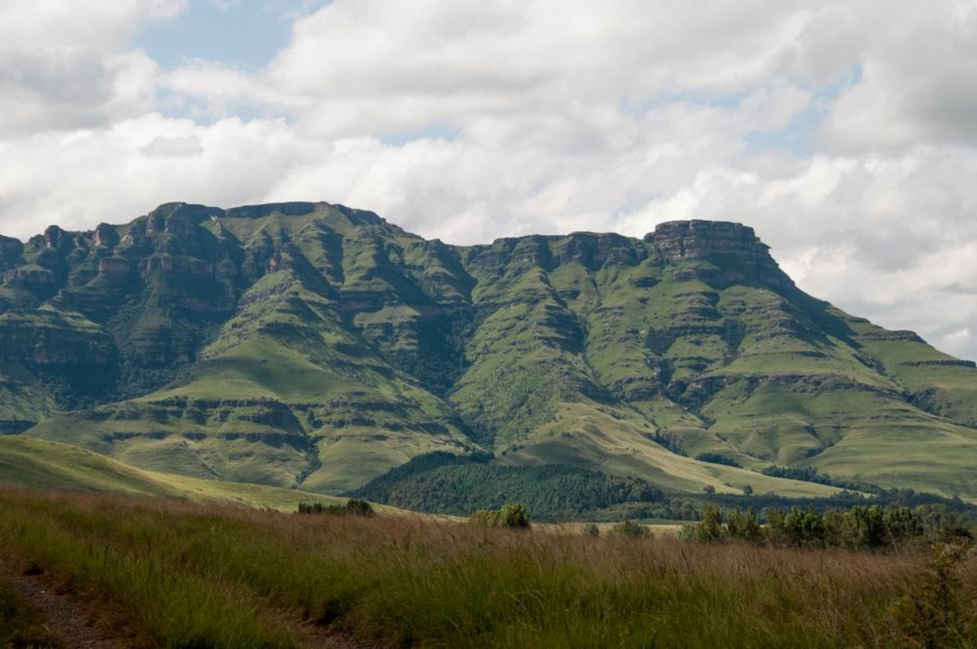Rolling farmland around Underberg with the Southern Drakensberg escarpment rising in the distance