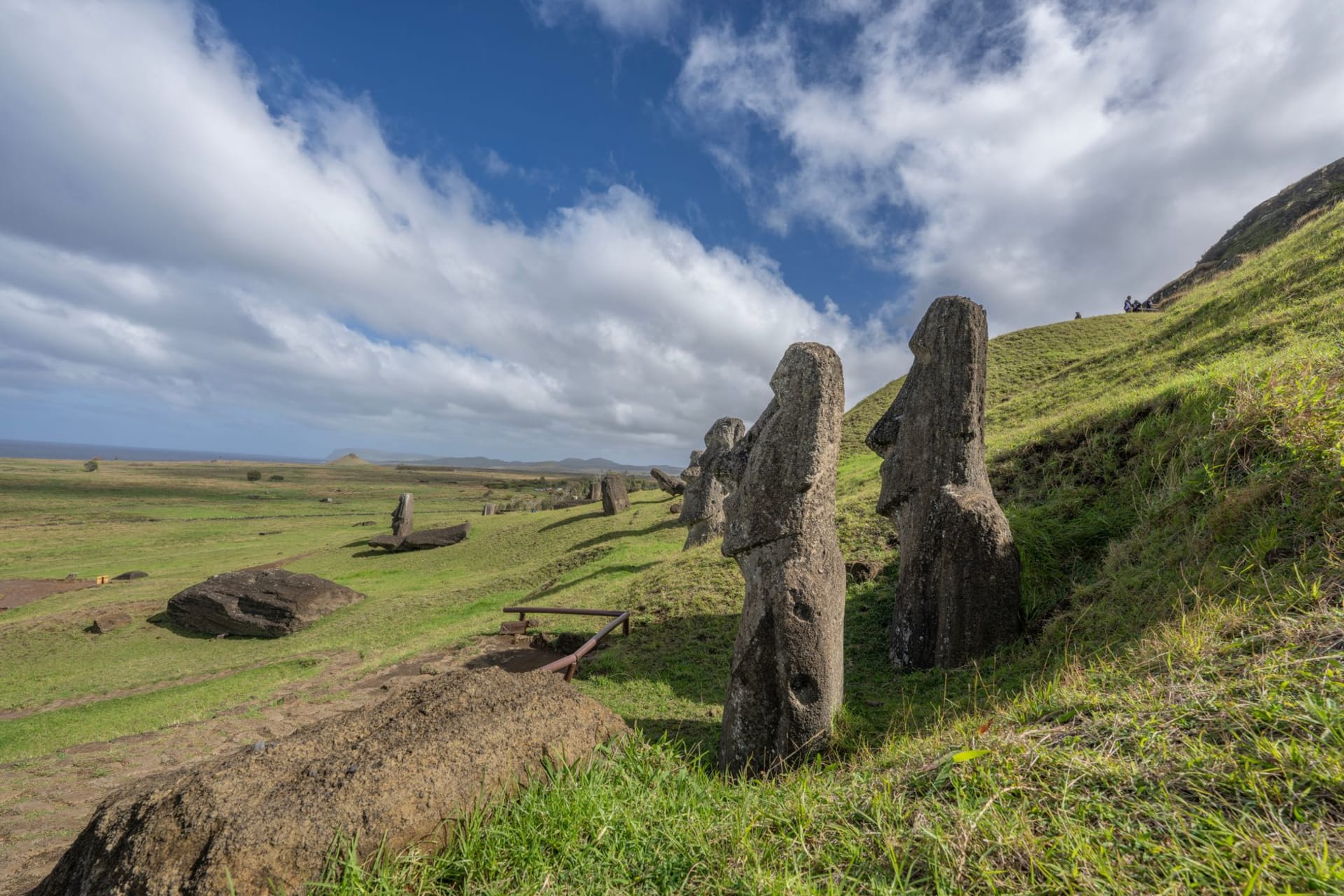 A row of iconic Moai statues standing on a grassy hillside under a bright blue sky, Easter Island, Chile — photo by Miguel Cuenca
