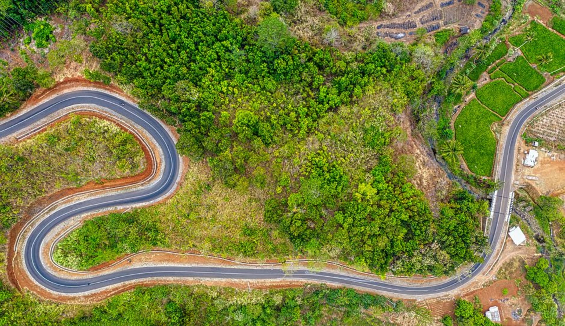 A winding two-lane mountain road through coffee plantations and wildflowers on El Salvador's Route of Flowers