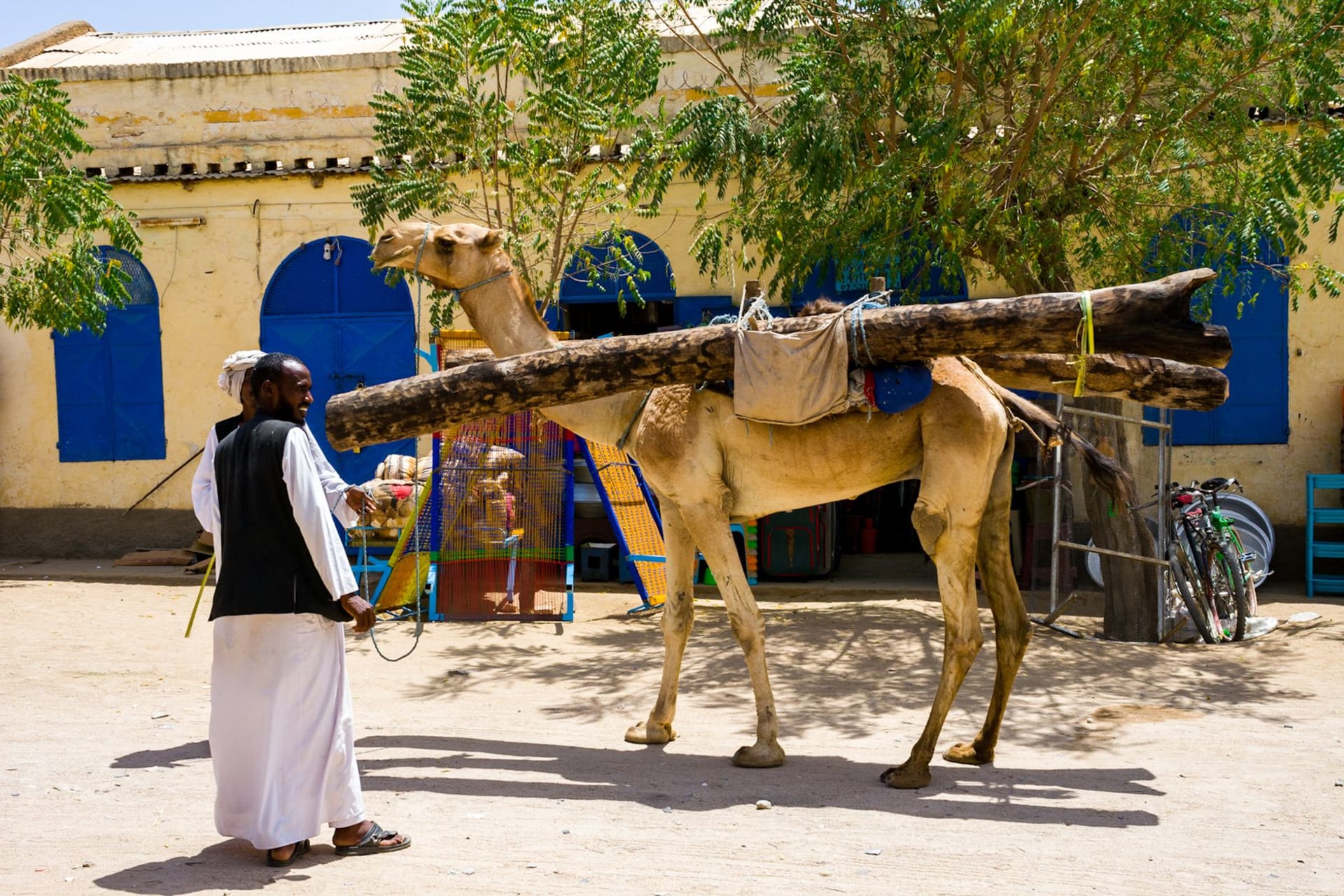 A man stands beside a camel carrying logs against a backdrop of colorful Eritrean architecture.