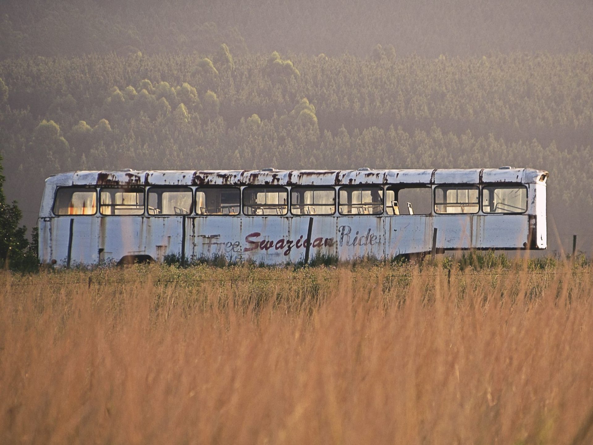 A weathered old bus parked in the Malkerns Valley grassland at golden hour, the open plains stretching behind it under a warm sunset sky