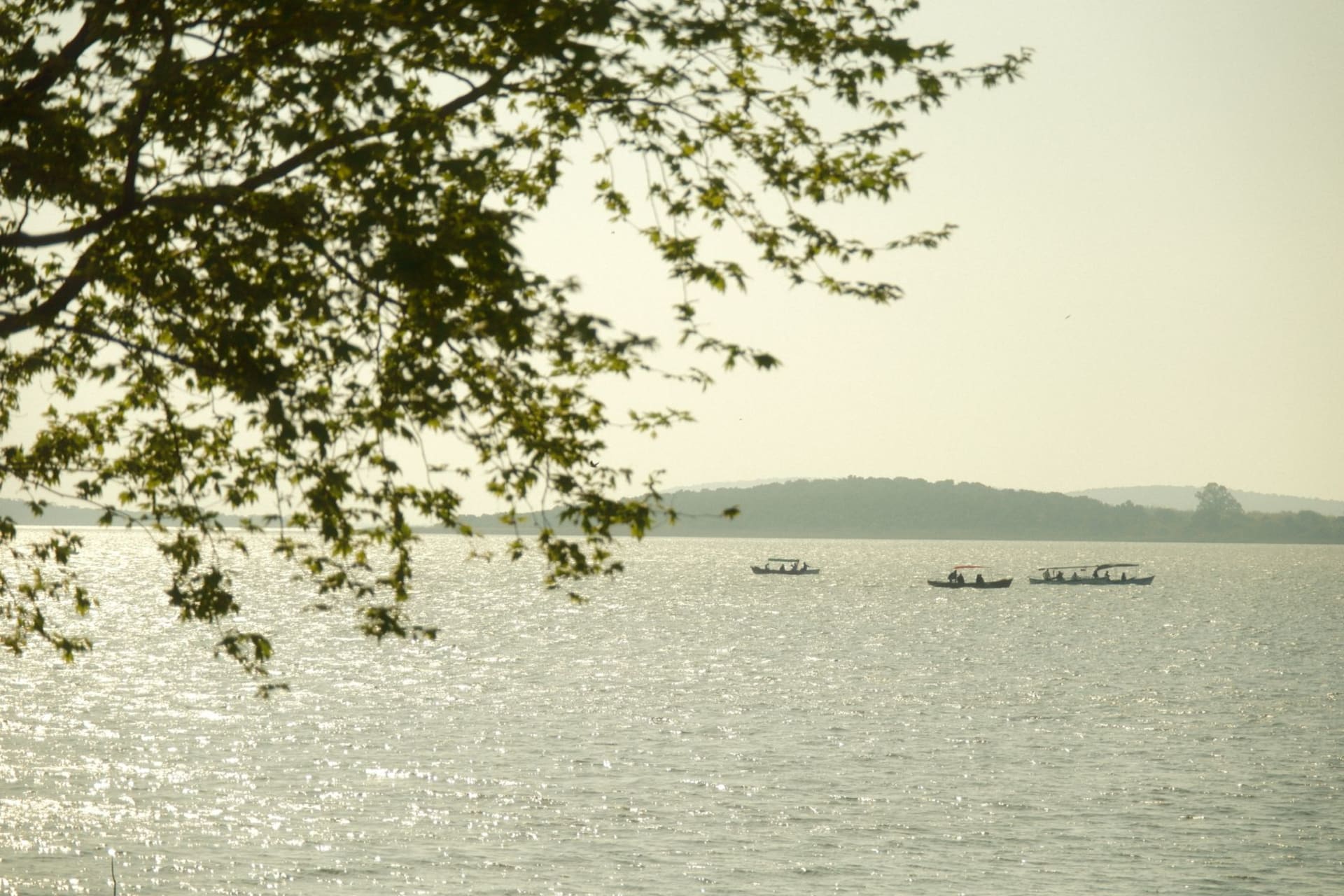 The wide silver expanse of Lake Tana at dawn dotted with forested islands, a fisherman poling a papyrus tankwa canoe across calm water near Bahir Dar, Ethiopia