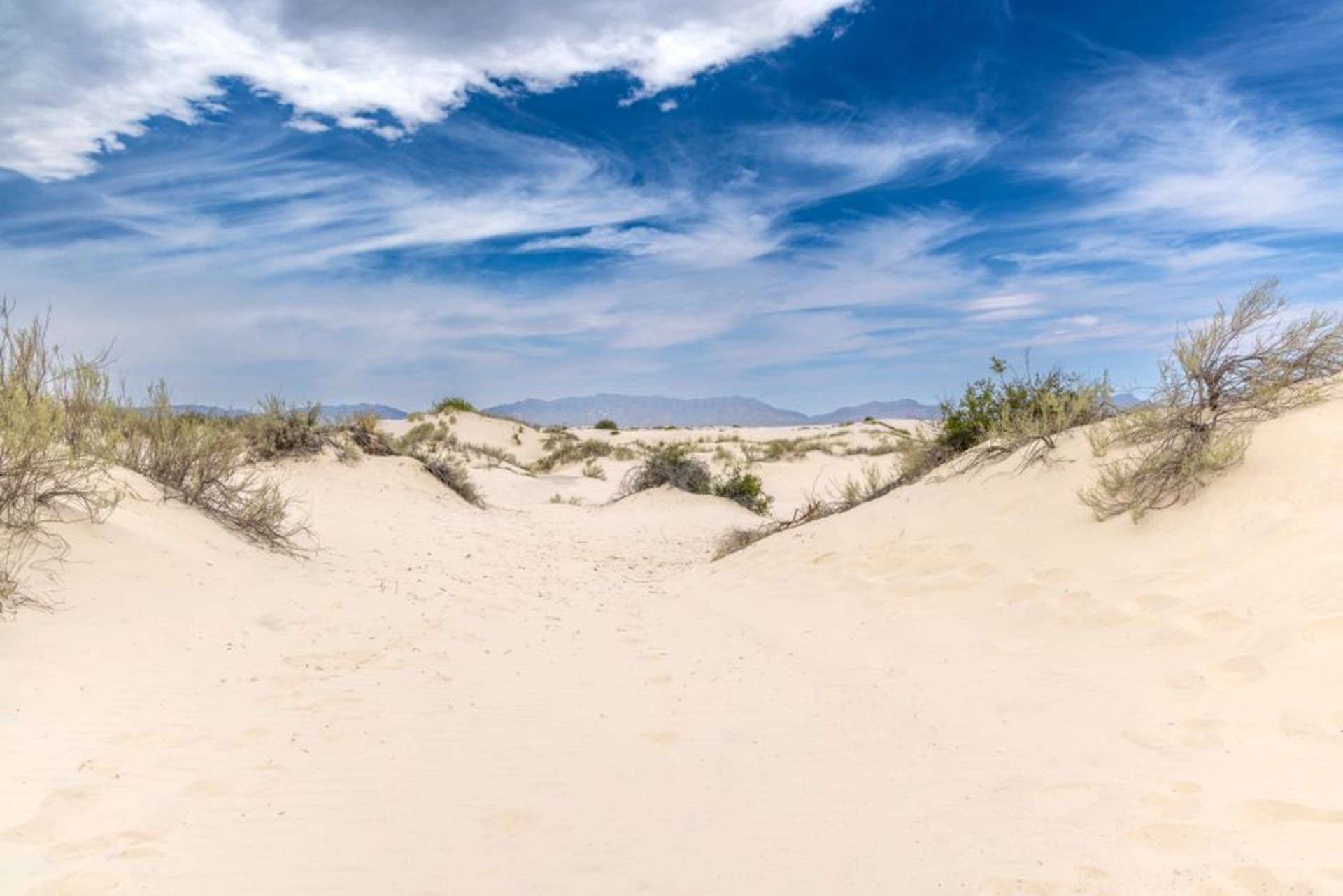Wind-rippled sand dunes rising above the Pacific coastline at Sigatoka Sand Dunes National Park, Fiji