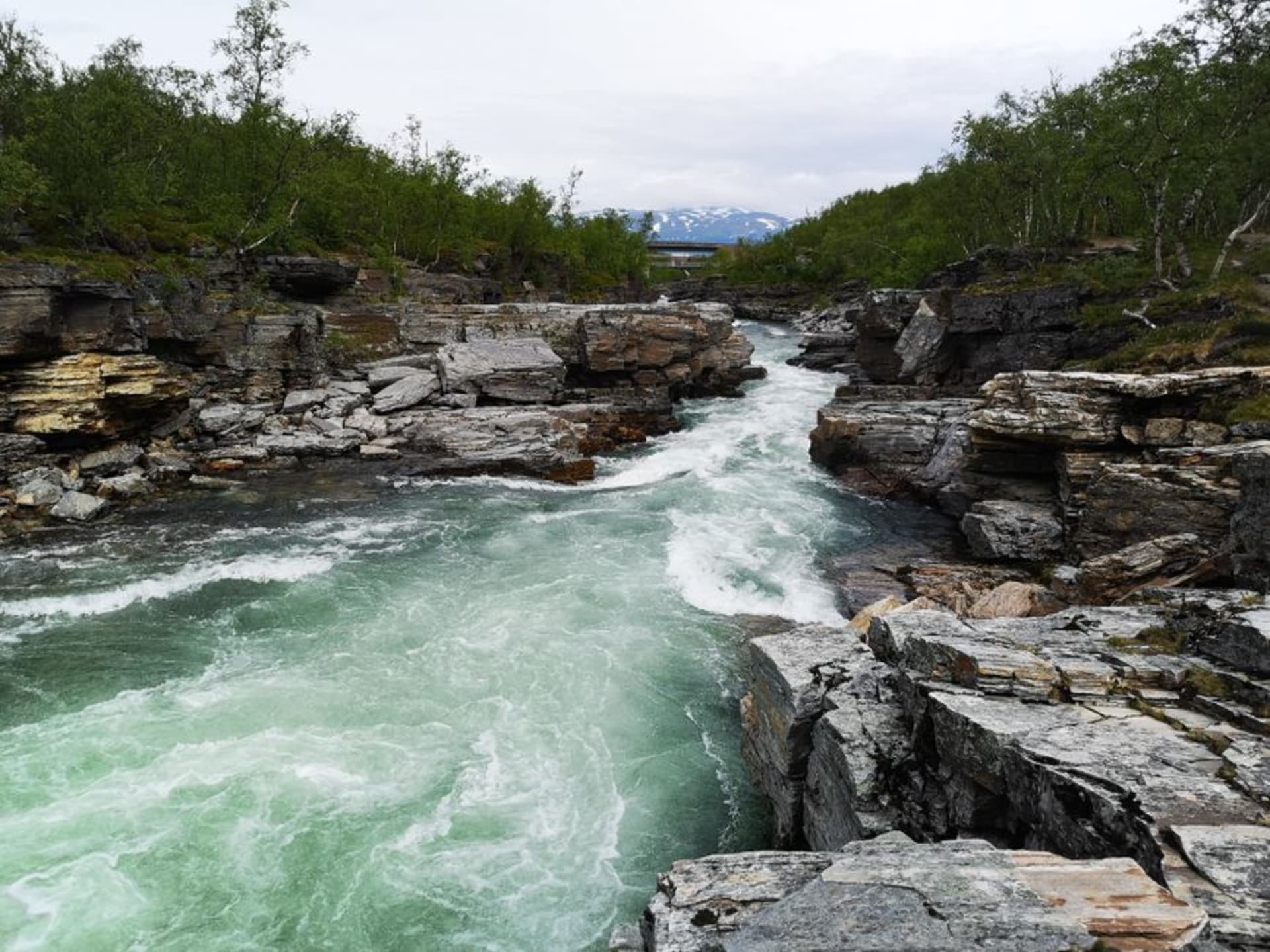 The Lemmenjoki River winding through old-growth pine forest and treeless fells in Finnish Lapland