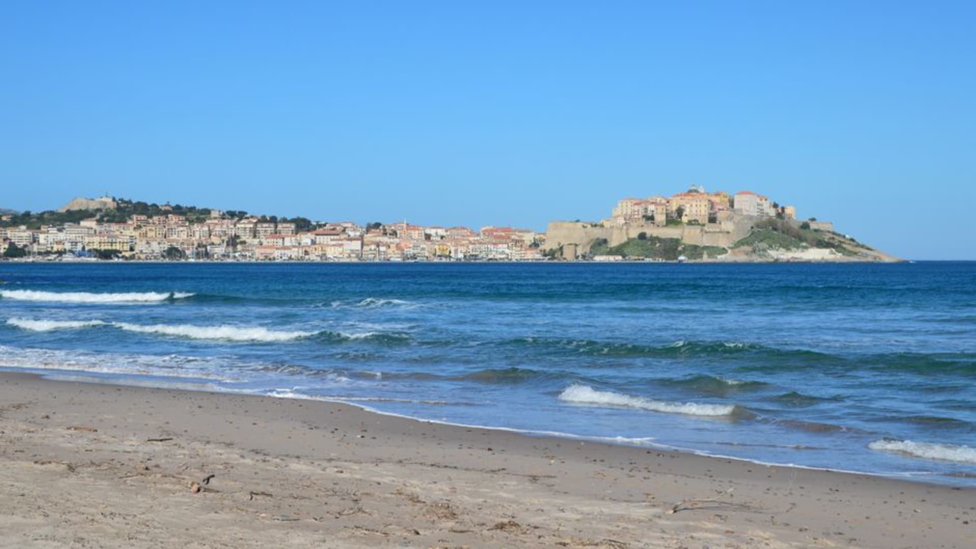 The Genoese citadel of Calvi on its headland overlooking the wide sandy bay and pine-backed coastline