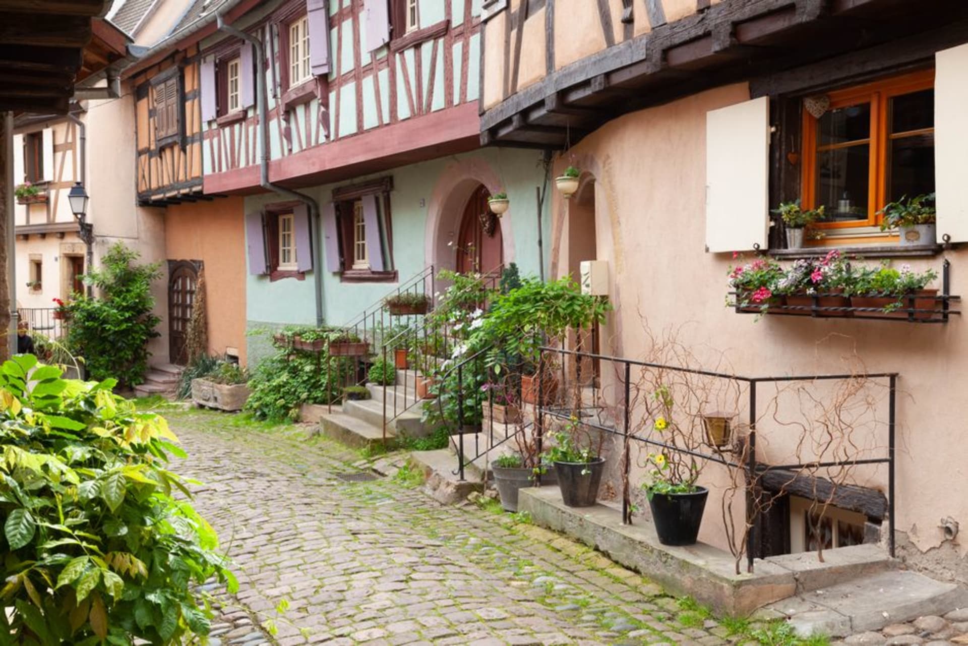 Timber-framed houses covered in red geraniums along a curved cobbled street in Eguisheim, Alsace