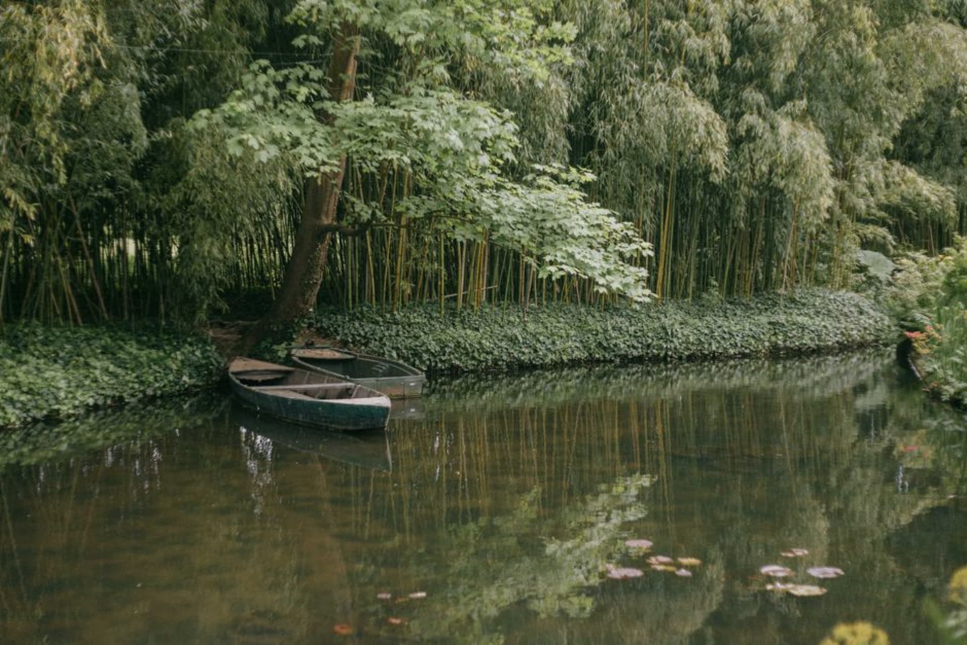 The green Japanese footbridge over Monet's water lily pond at Giverny surrounded by weeping willows and lily pads