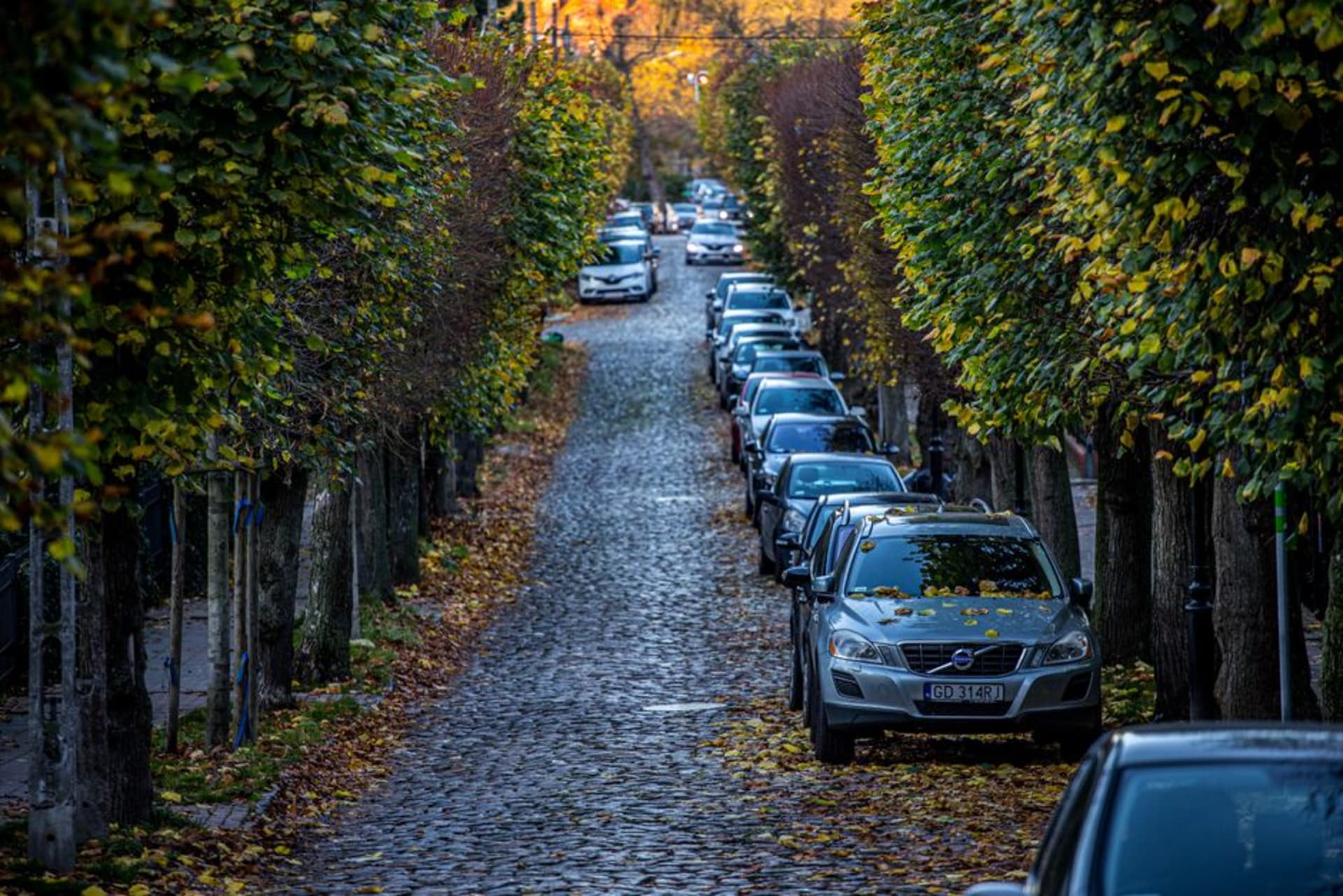 The wide tree-lined Allées d'Etigny in Bagnères-de-Luchon with grand nineteenth-century spa buildings and the Pyrenees behind