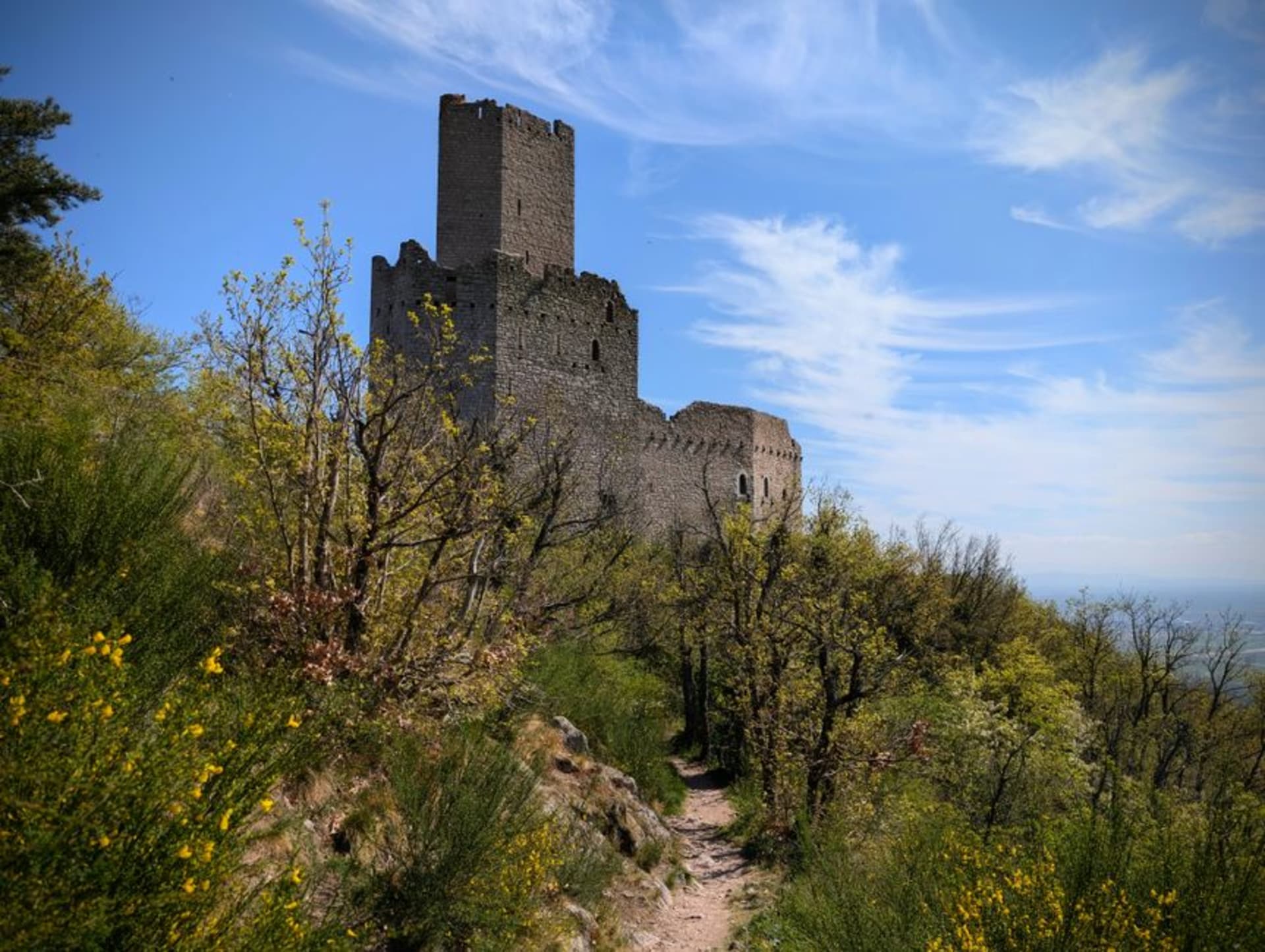 The medieval main street of Ribeauvillé with the three ruined hilltop castles visible on the wooded ridge above town