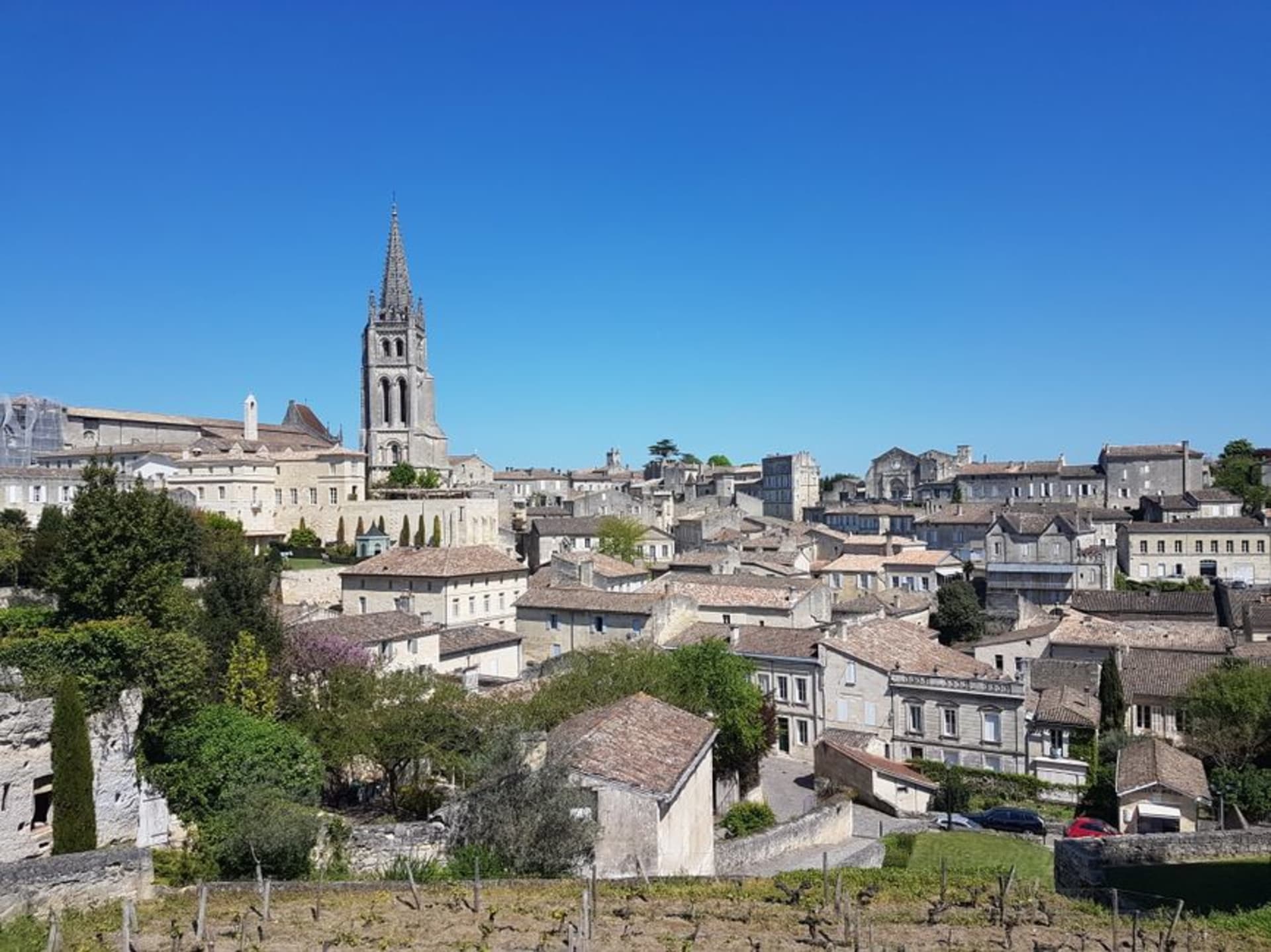 The honey-stone rooftops of Saint-Émilion tumbling down a hillside above vineyard rows in the Bordeaux countryside