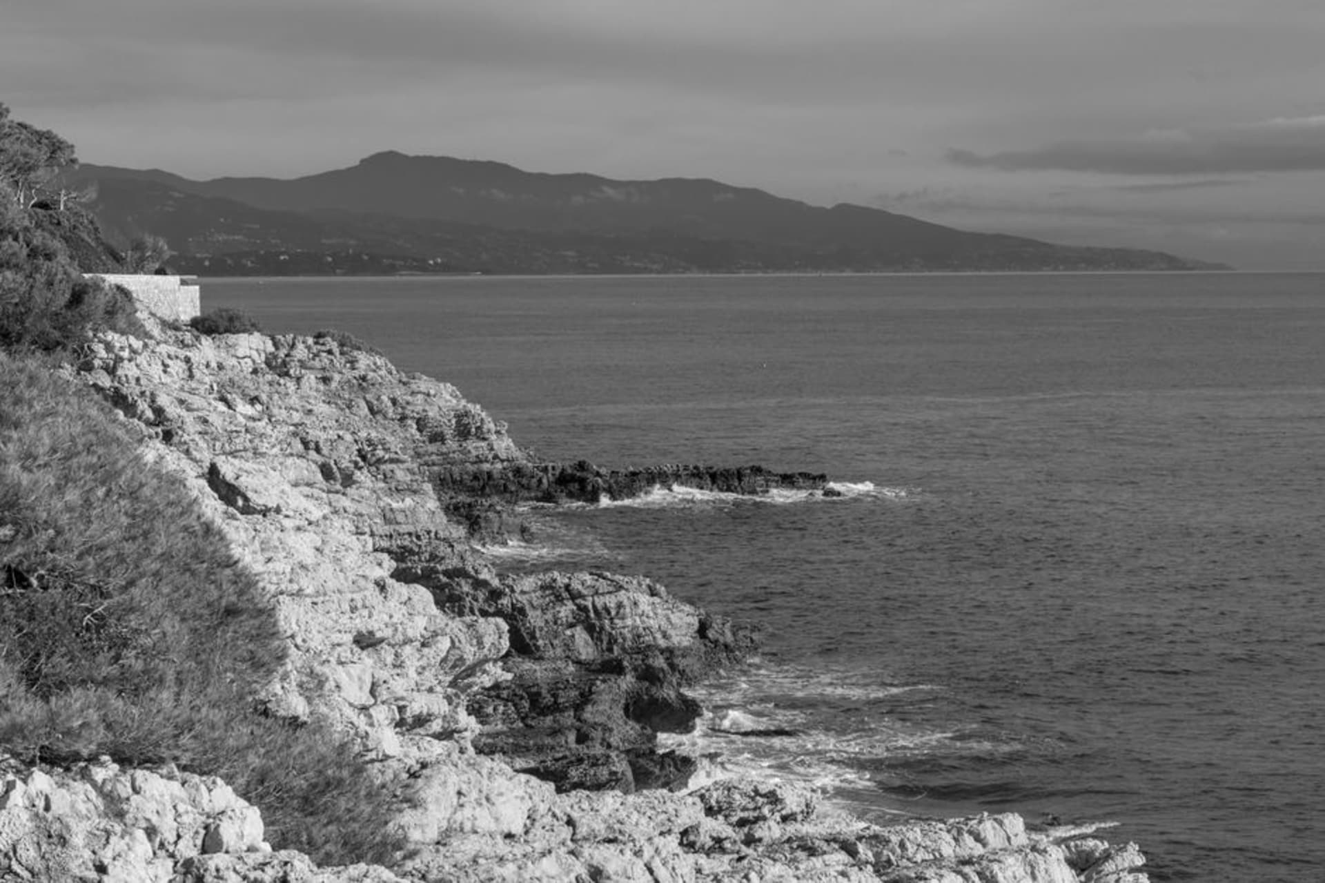 Pine trees and the rocky coastline of the Cap Ferrat peninsula with the blue Mediterranean beyond