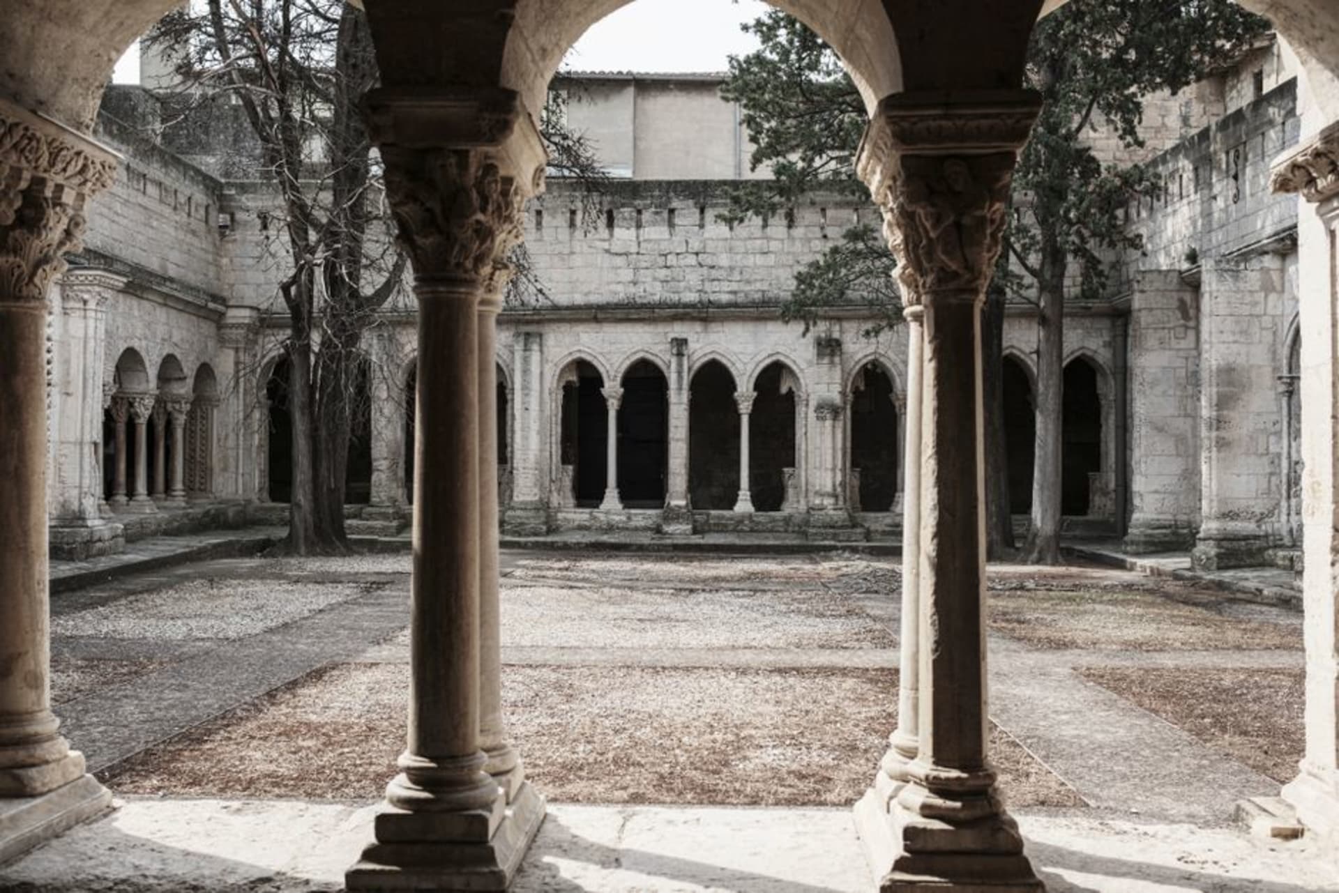 The stone cloister and lavender garden of the former Saint-Paul-de-Mausole asylum in Saint-Rémy-de-Provence