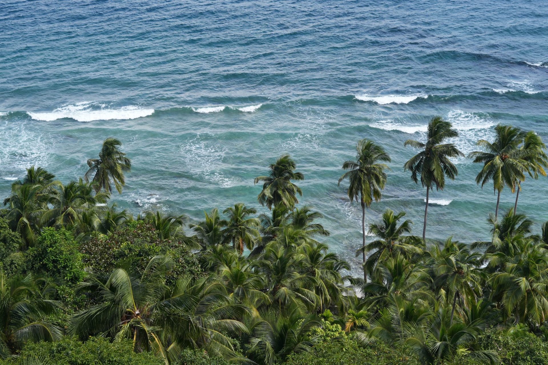 The vine-covered ruins of the Îles du Salut penal colony on Île Royale, with turquoise Caribbean water visible through the jungle behind the old stone buildings