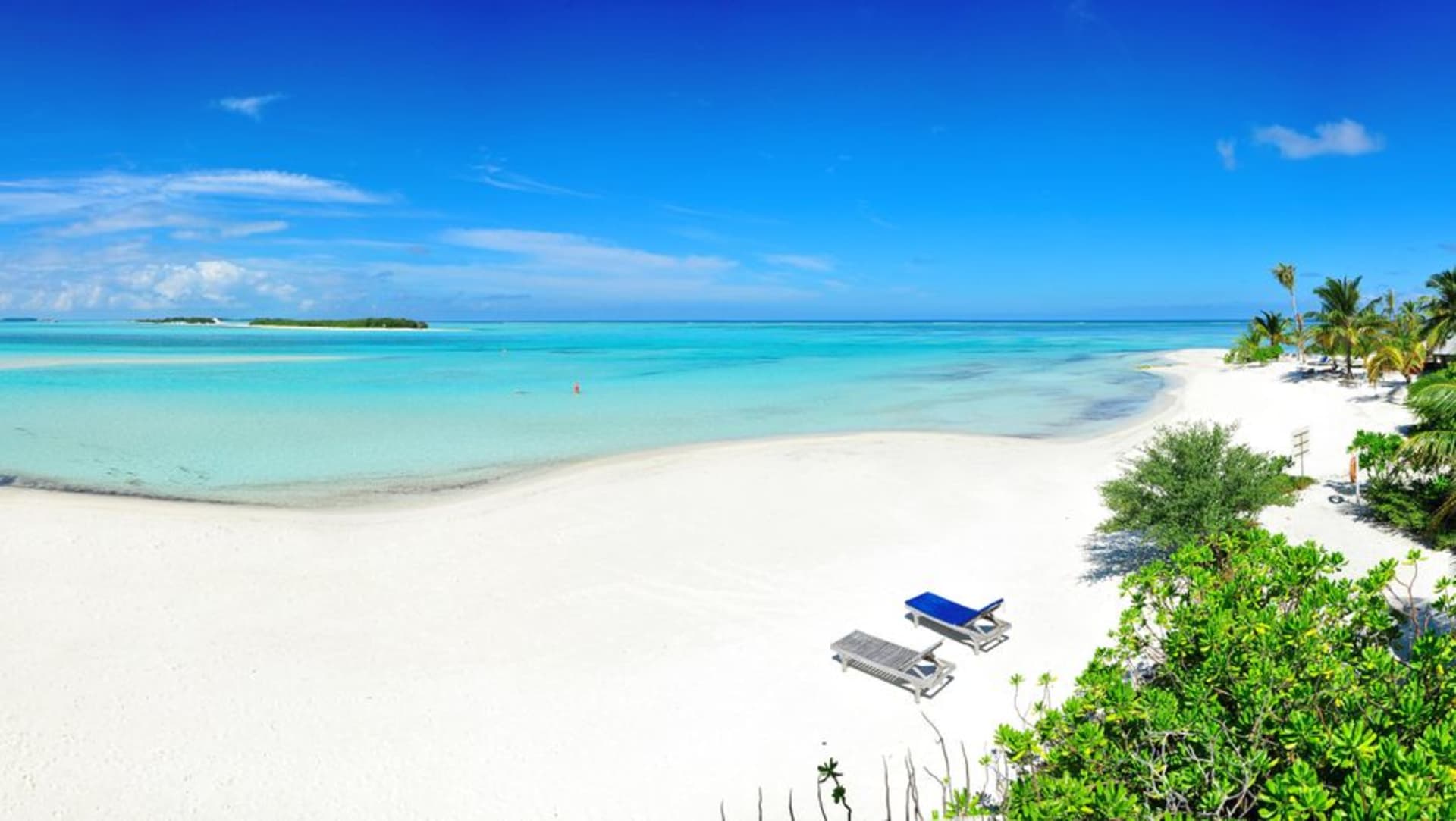 Pink-tinged sand beach on Tikehau atoll with shallow turquoise lagoon water and coconut palms leaning over the shore