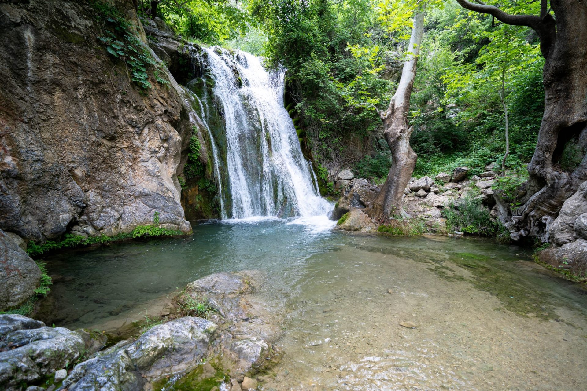 The Banias waterfall crashing through a gorge of ferns and basalt rock under a canopy of plane trees