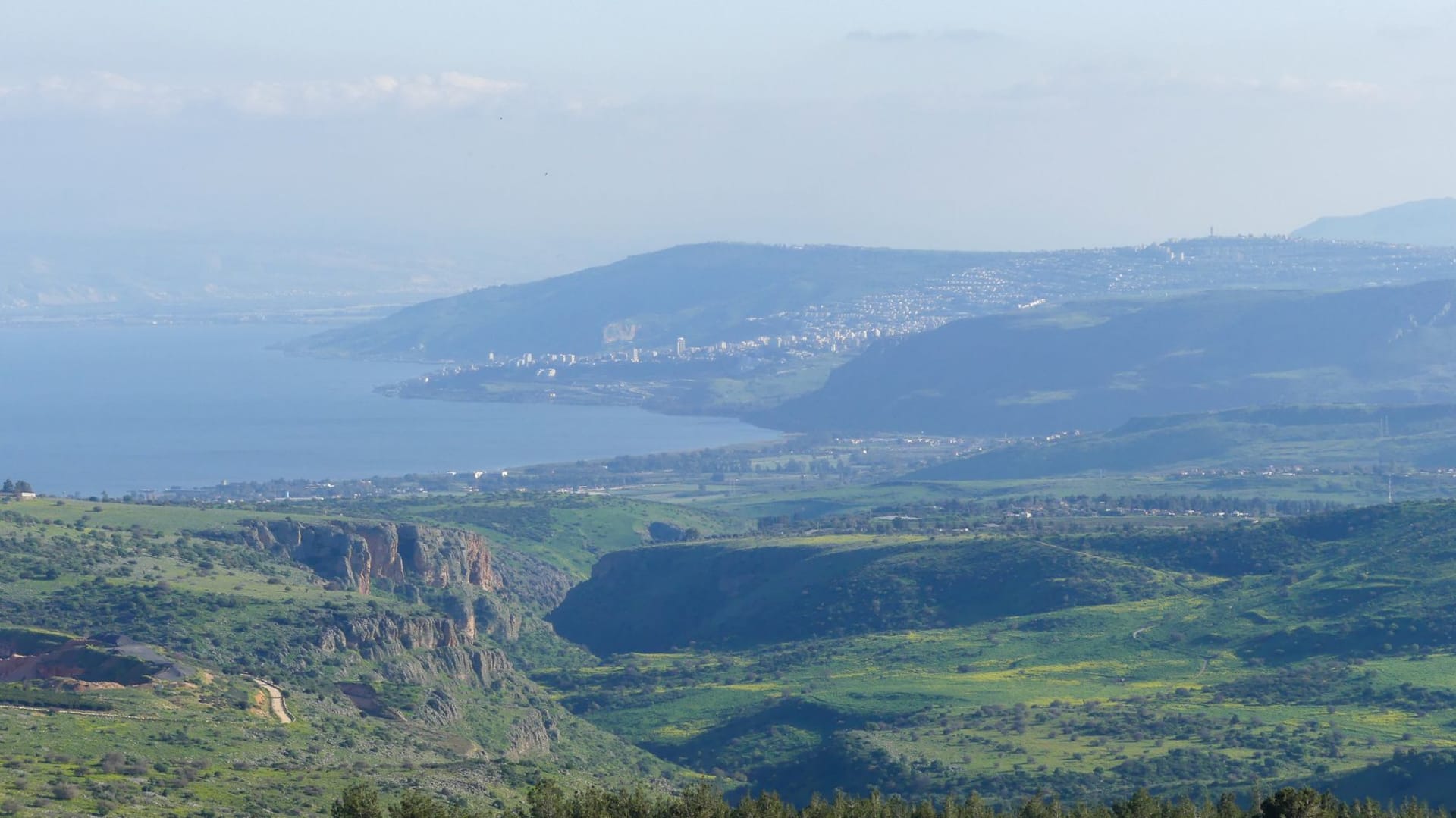 Rolling green hills and olive groves in the Galilee landscape under a wide open sky