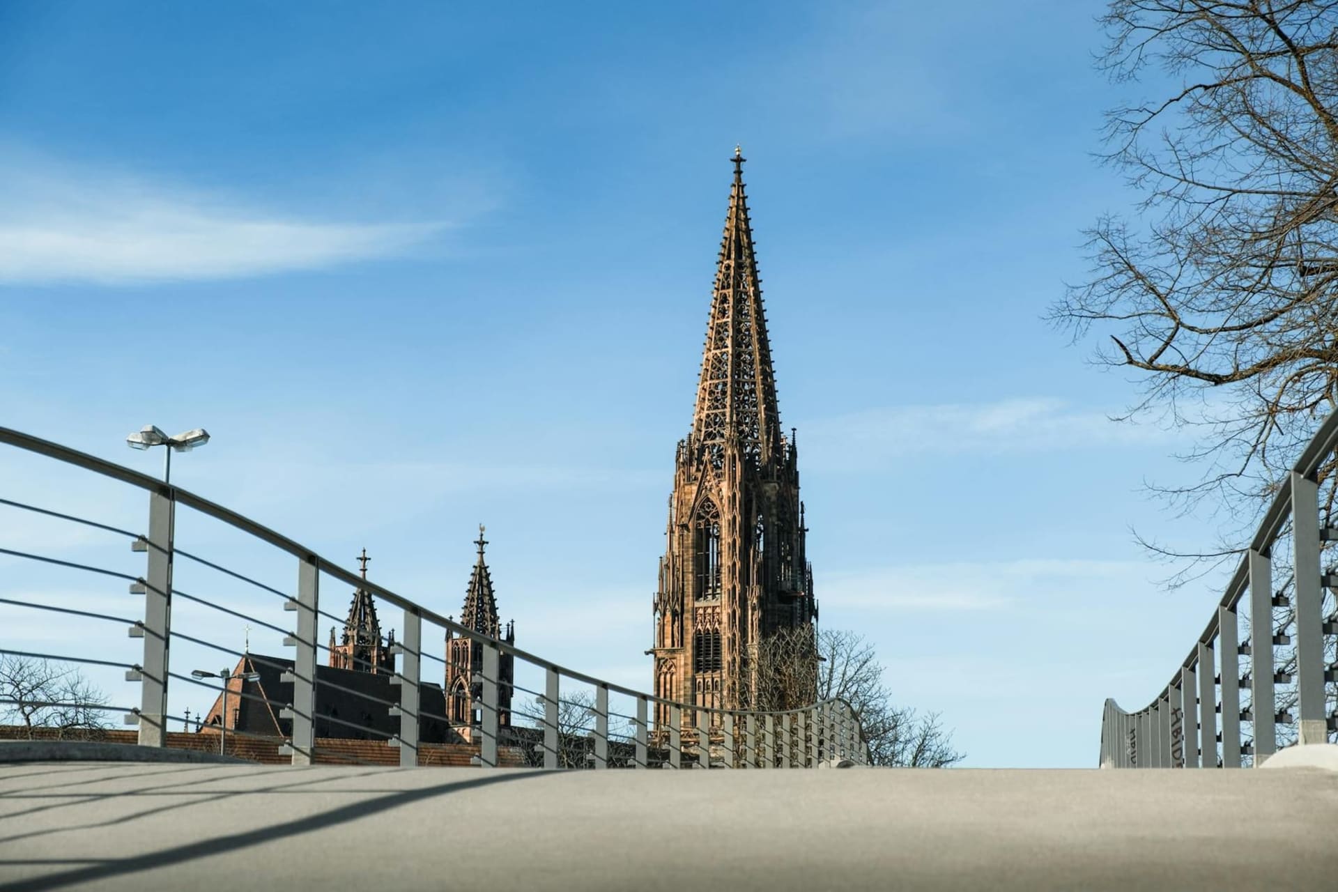 The Freiburger Münster cathedral rising above red-roofed medieval buildings, its ornate Gothic spire catching late afternoon light with the Black Forest ridgeline visible in the distance