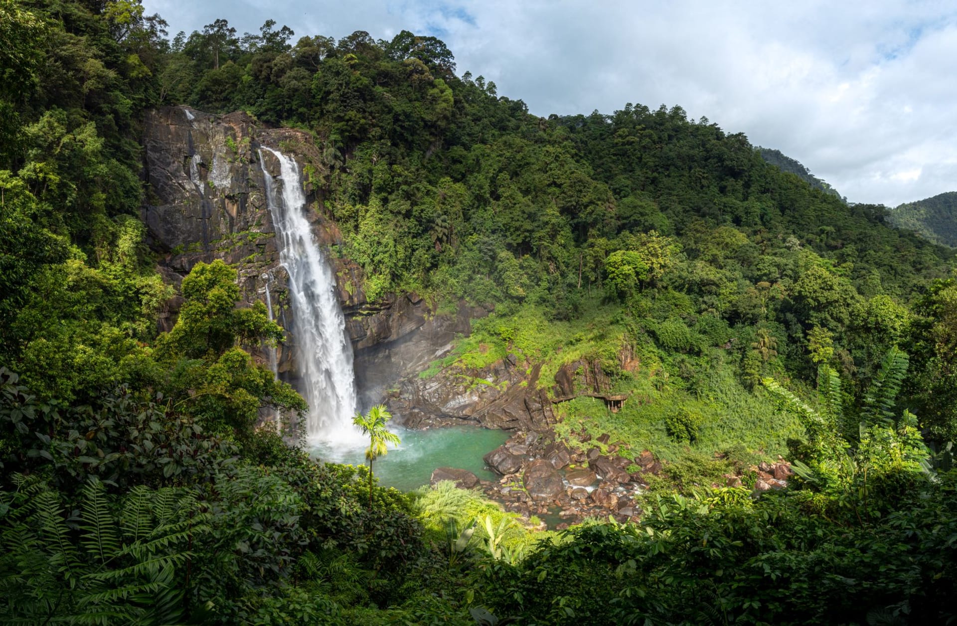 Wli Falls cascading down a sheer rock face into a dark pool surrounded by rainforest, with hundreds of bats circling overhead in the Volta Region of Ghana