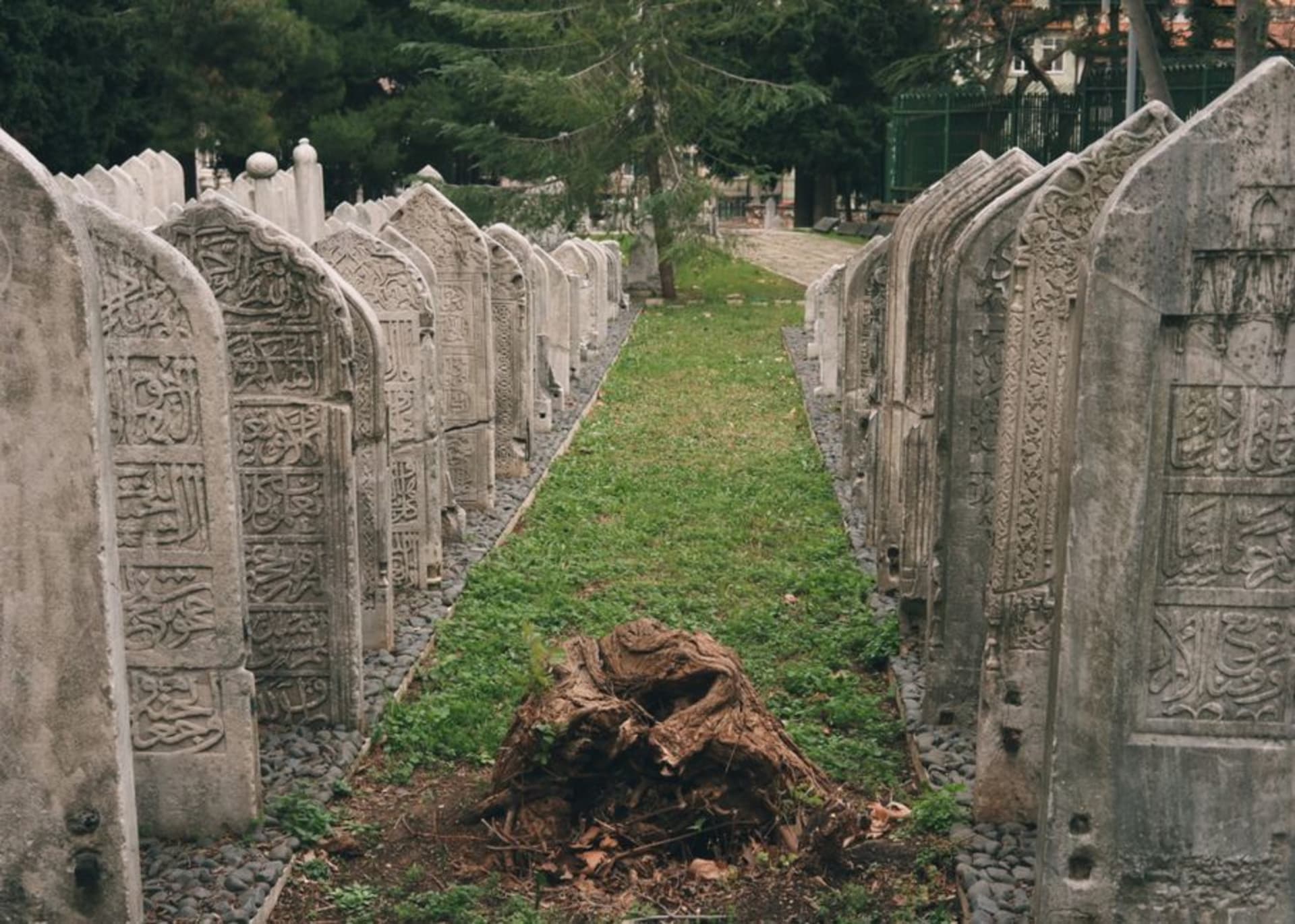 Weathered headstones under trees inside the walled Trafalgar Cemetery in Gibraltar