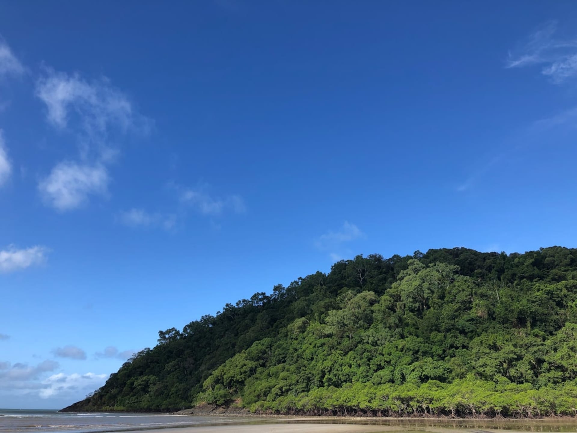 Playa de Cape Tribulation donde la densa selva del Daintree se encuentra con la arena y el agua turquesa del arrecife