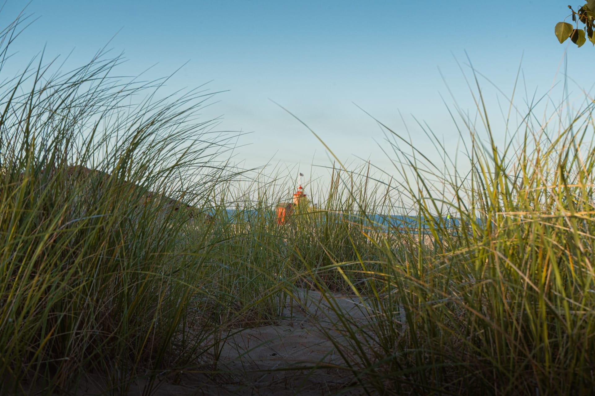 Holland Harbor Lighthouse in Michigan seen through dune grass under a wide blue sky