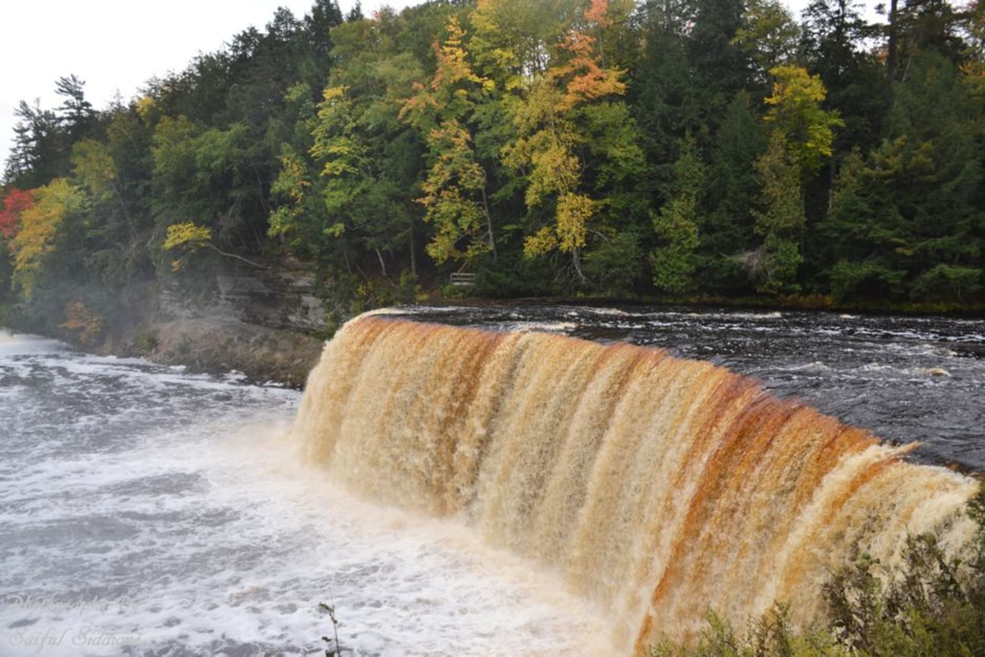 Chutes supérieures de Tahquamenon dévalant une large corniche rocheuse, eau teintée d'ambre foncé