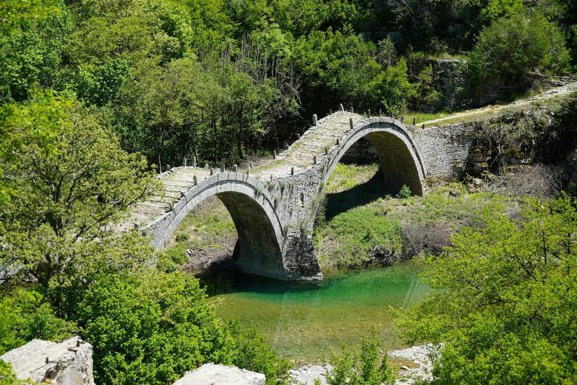 A centuries-old Ottoman arched stone bridge arcing over a narrow river gorge in the Zagori region, surrounded by dense pine forest and grey mountain peaks under soft autumn light