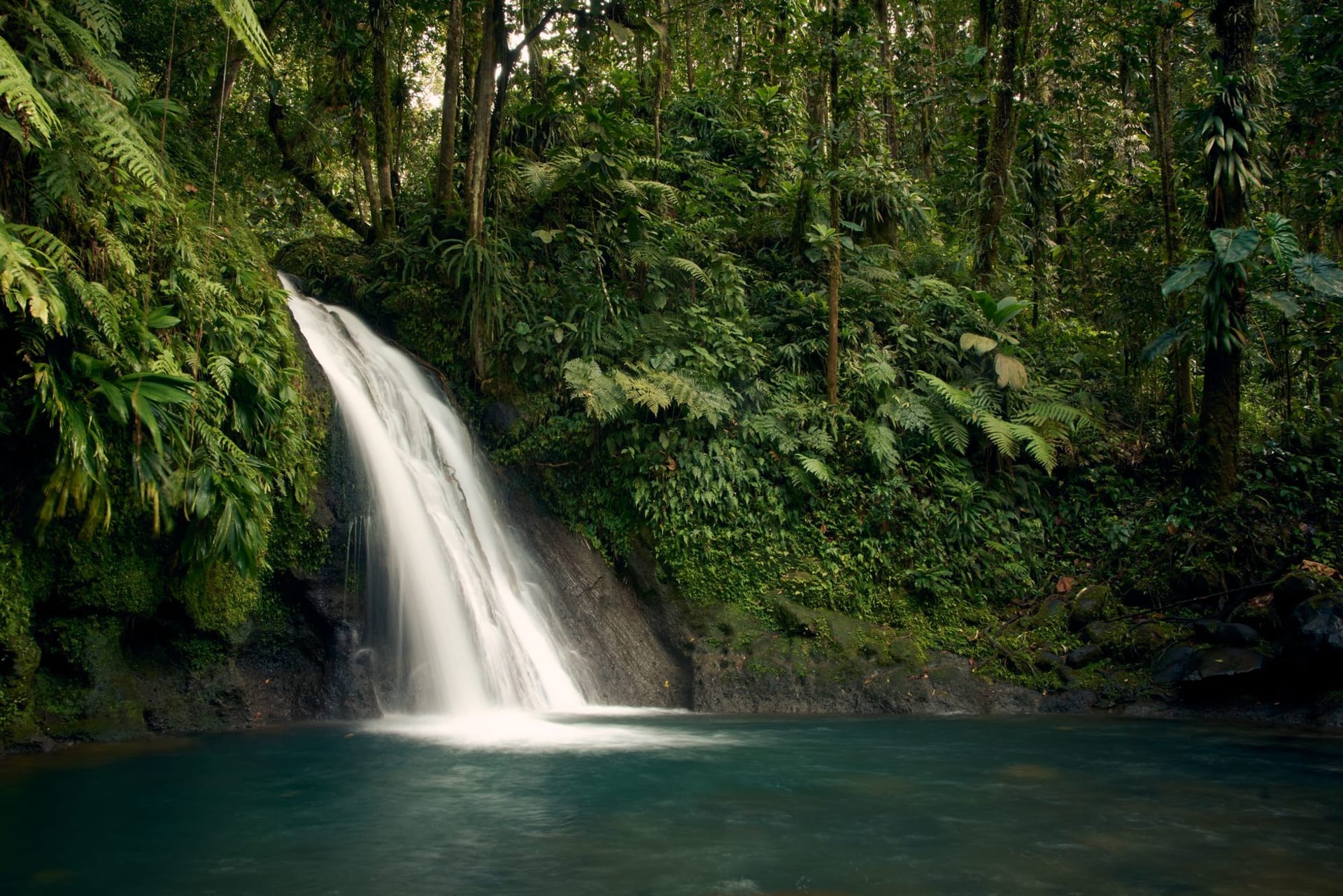 A towering waterfall crashing into a mist-filled pool surrounded by dense tropical rainforest in the heart of Guadeloupe's national park