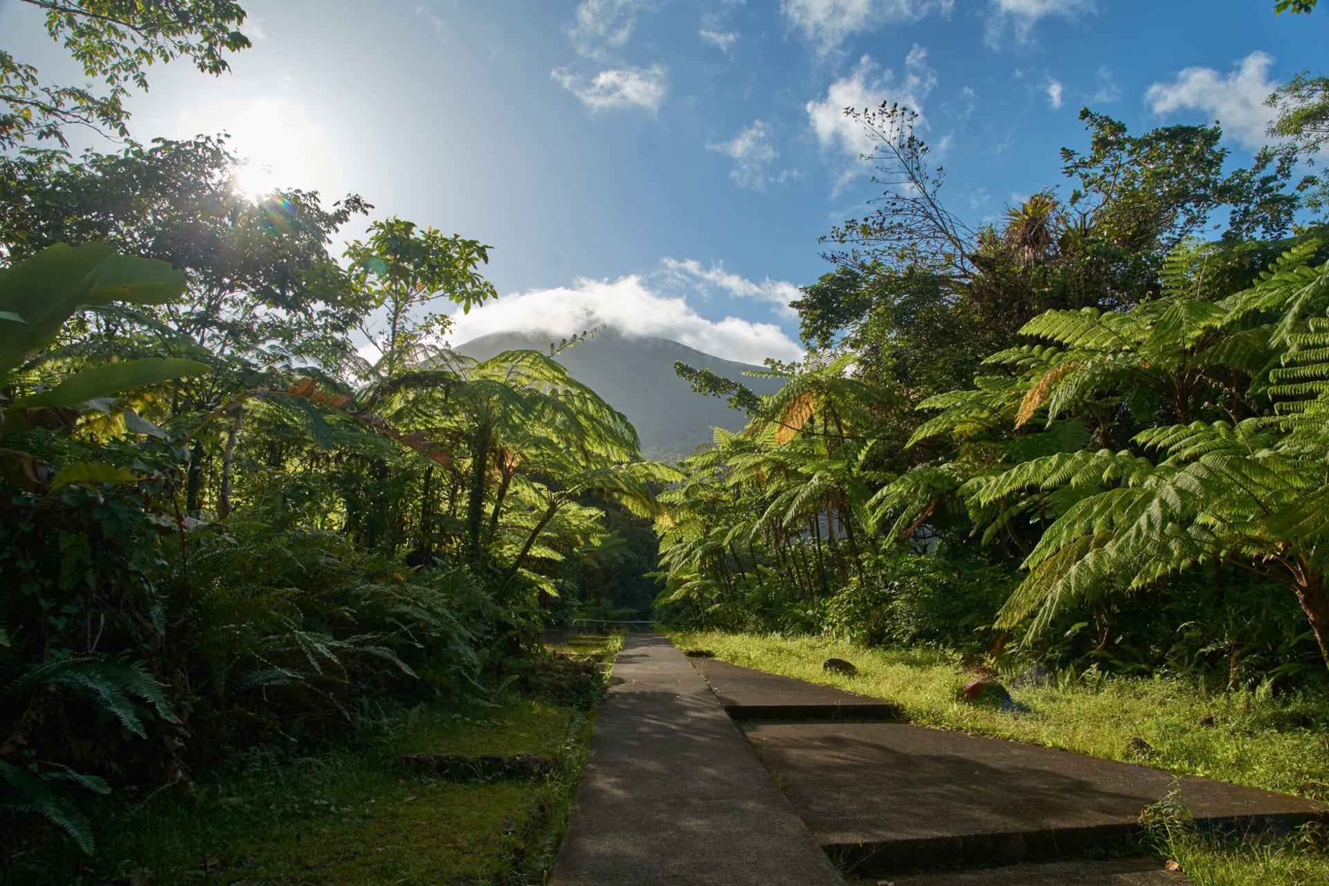 A hiker standing at the edge of La Soufrière's rocky crater rim surrounded by sulfurous steam vents and swirling volcanic clouds, Guadeloupe